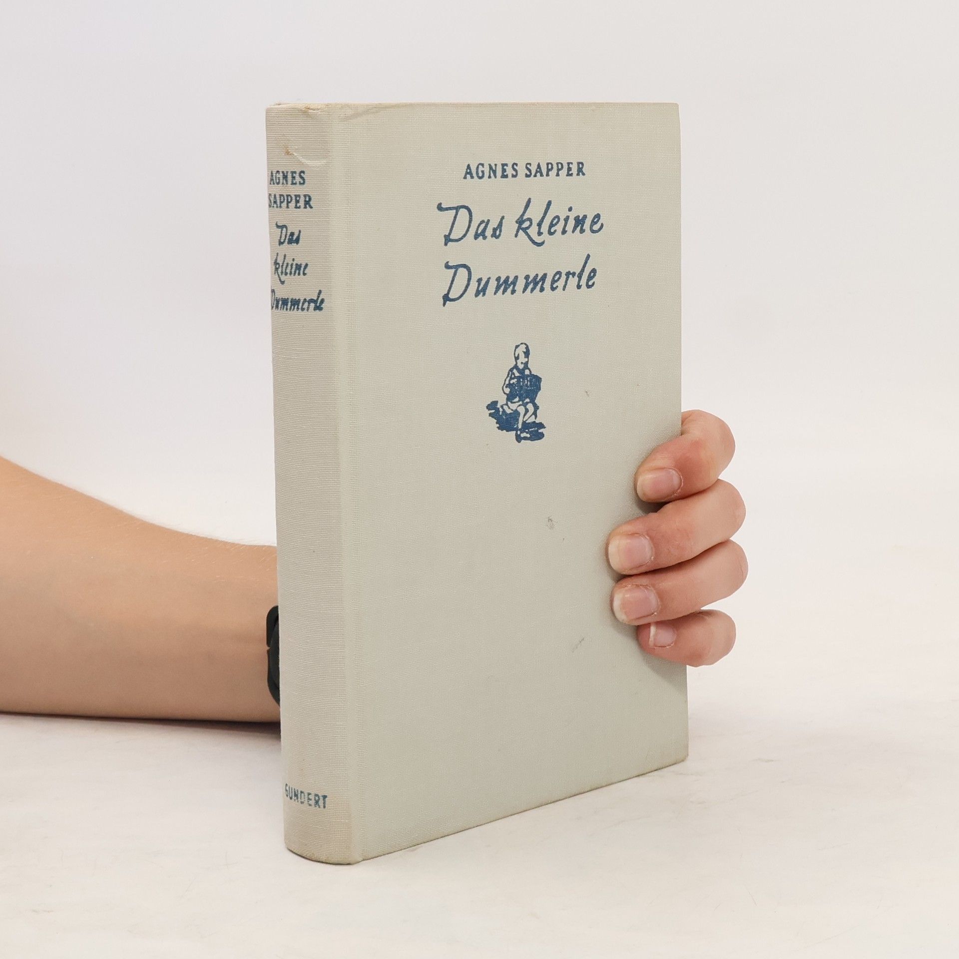Agnes Sapper Das kleine Dummerle