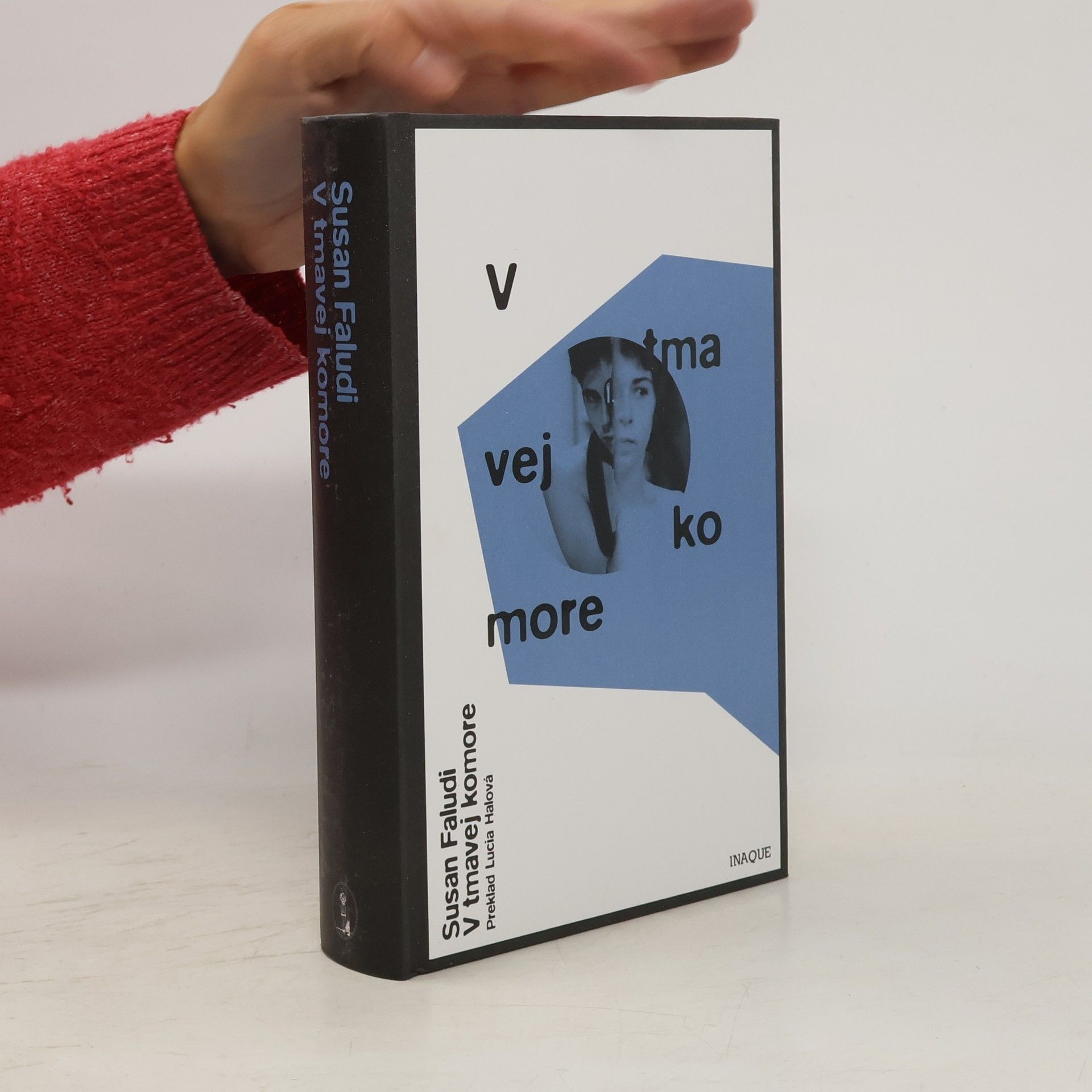 Susan Faludi V tmavej komore