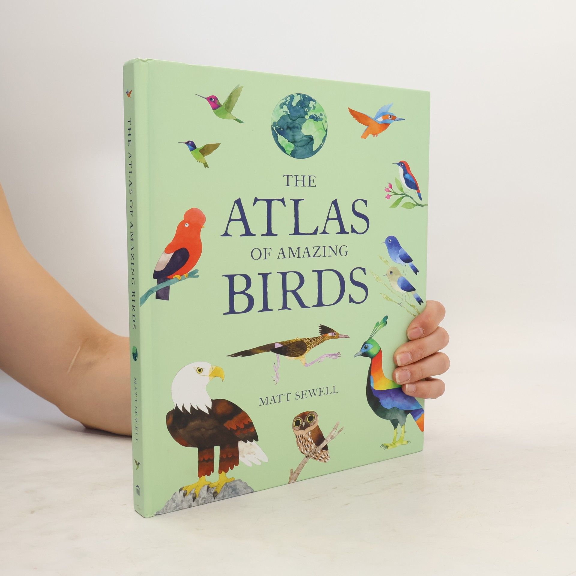 Matt Sewell The Atlas of Amazing Birds