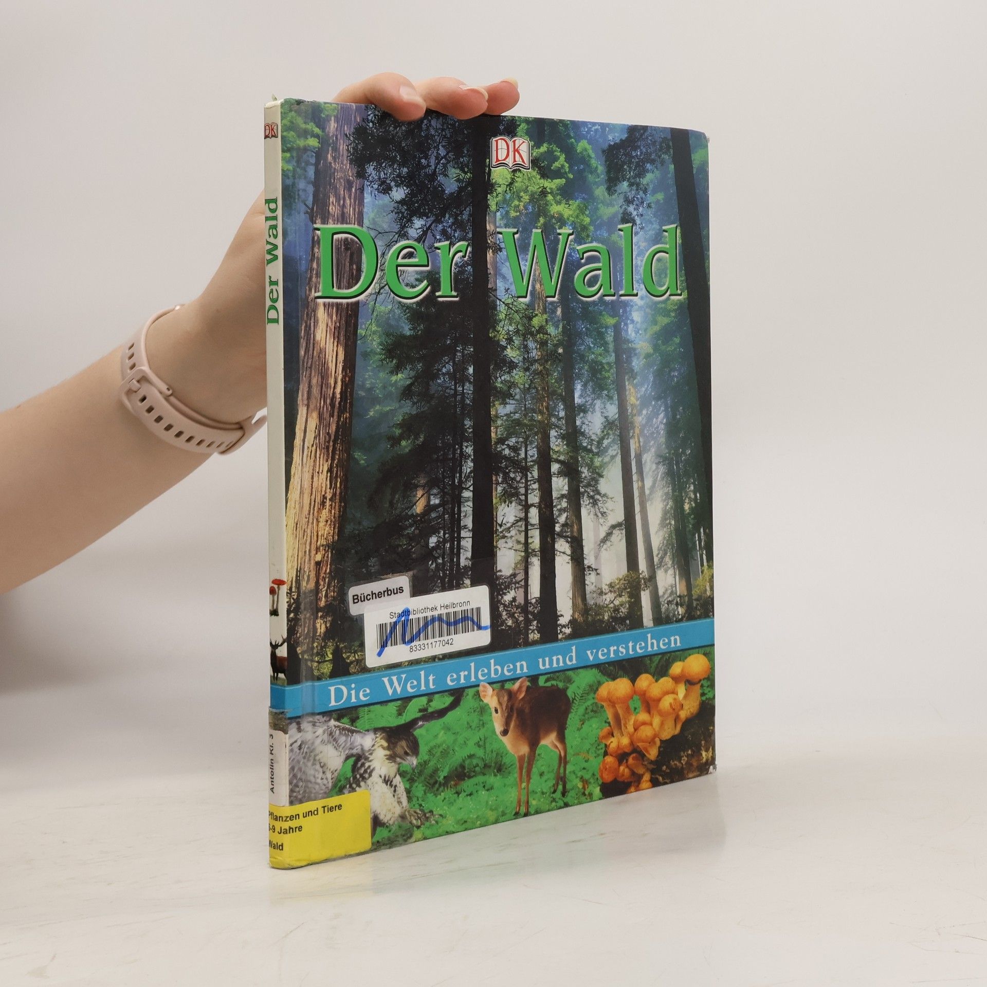 Deborah Lock Der Wald