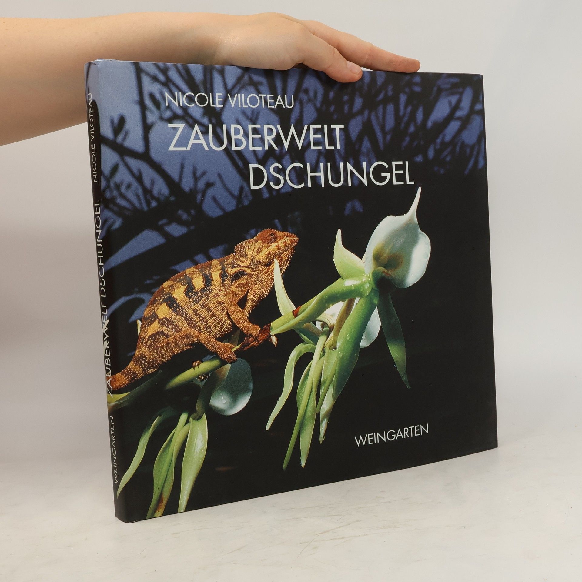 Nicole Viloteau Zauberwelt Dschungel