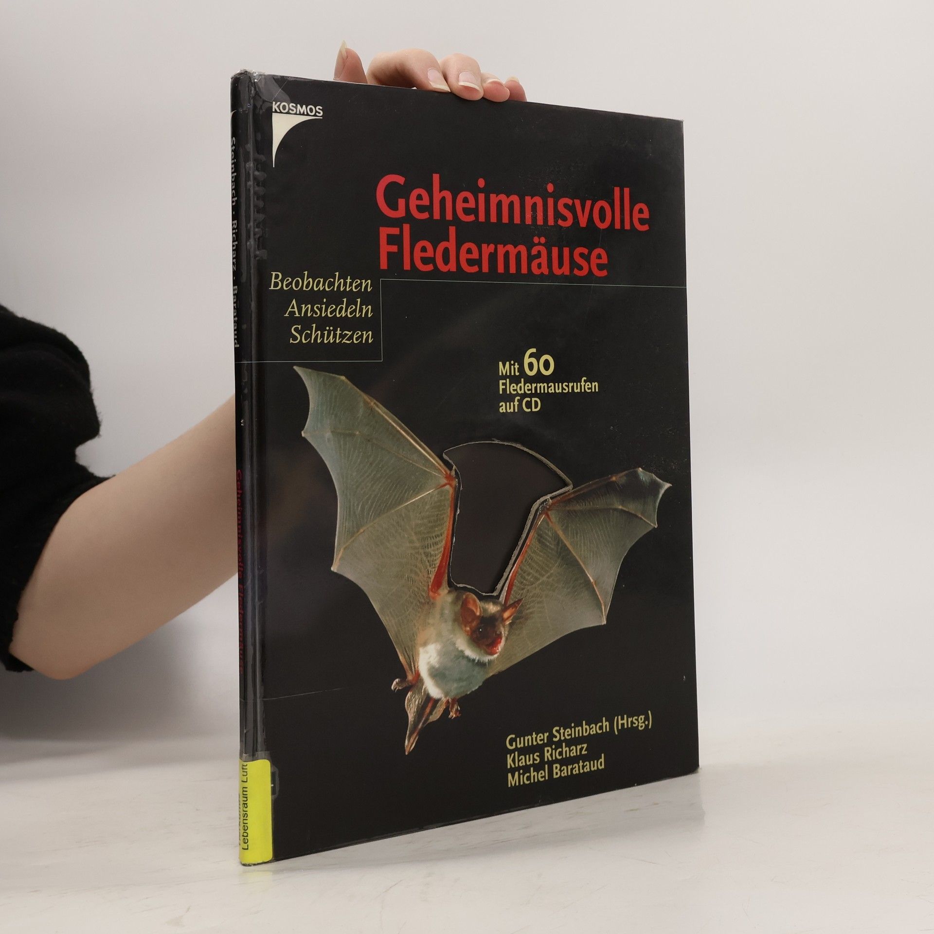 Autorenkollektiv Geheimnisvolle Fledermäuse: Beobachten, Ansiedeln, Schützen