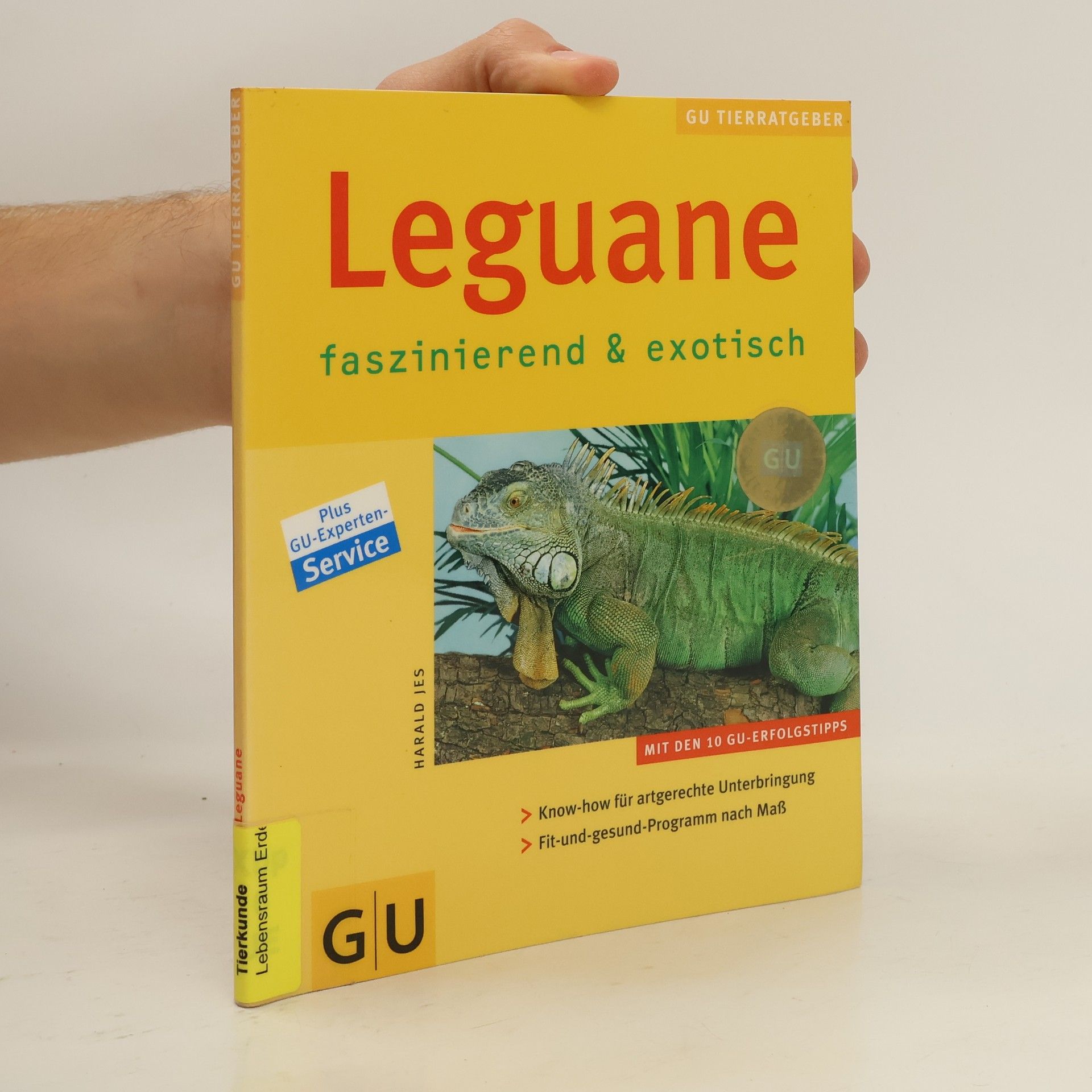 Herald Jes Leguane