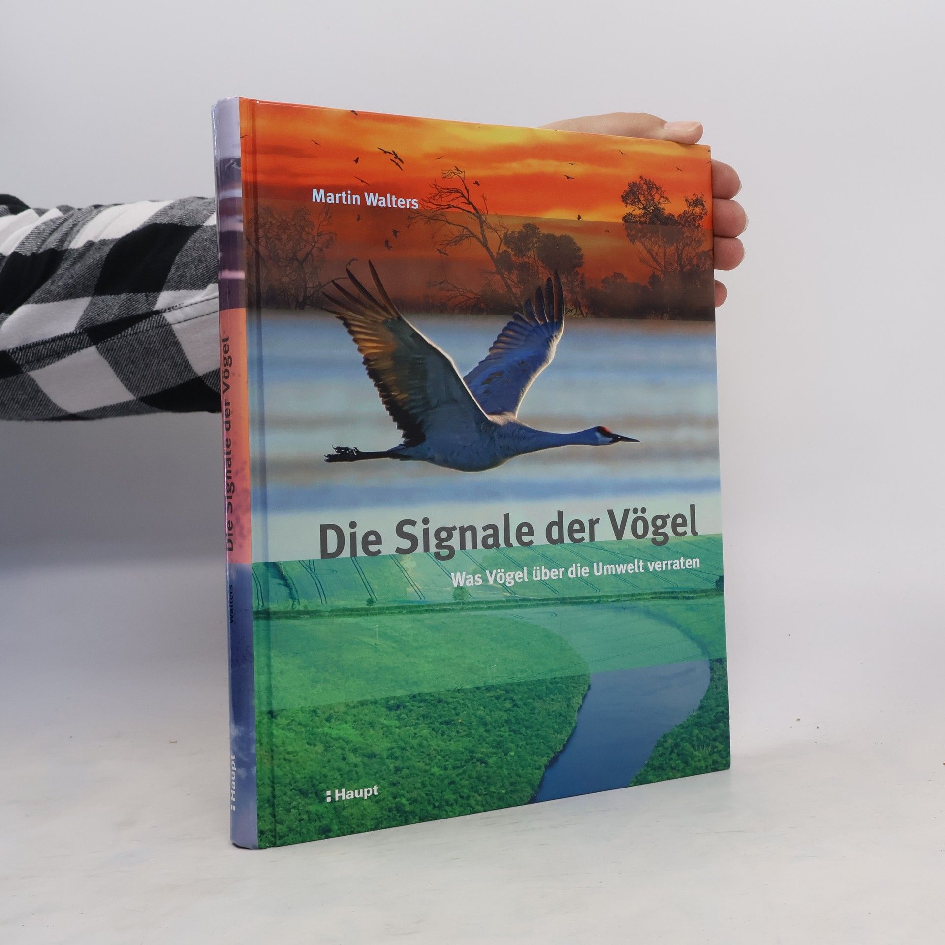 Martin Walters Die Signale der Vögel
