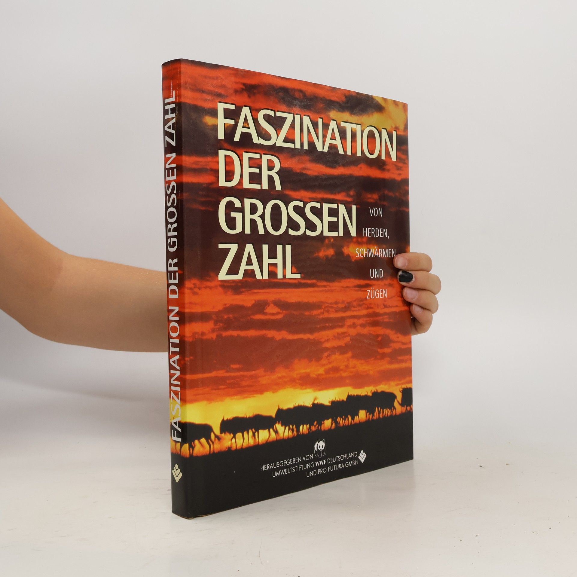 kolektiv Faszination der grossen zahl