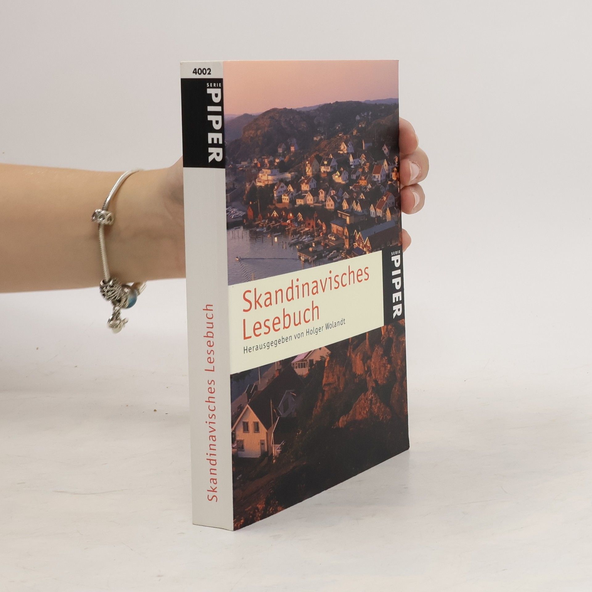 Holger Wolandt Skandinavisches Lesebuch