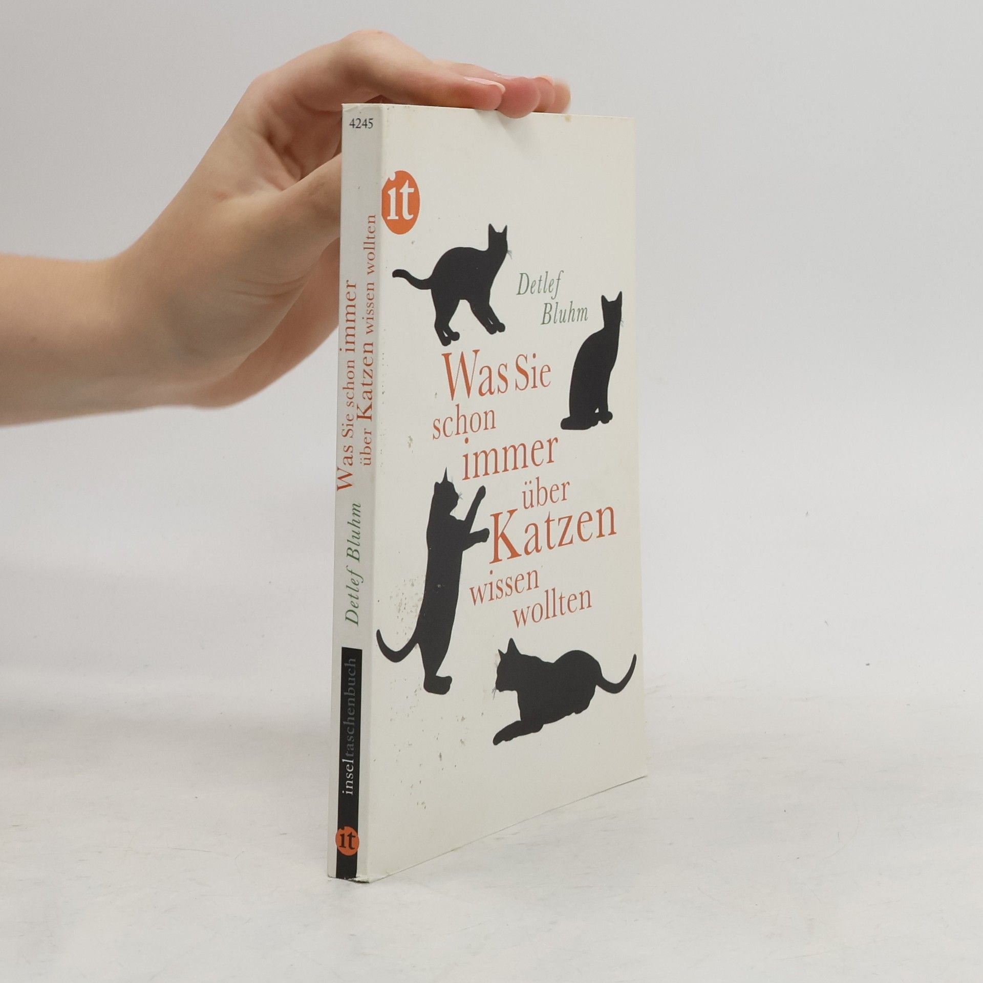 Detlef Bluhm Was Sie schon immer über Katzen wissen wollten