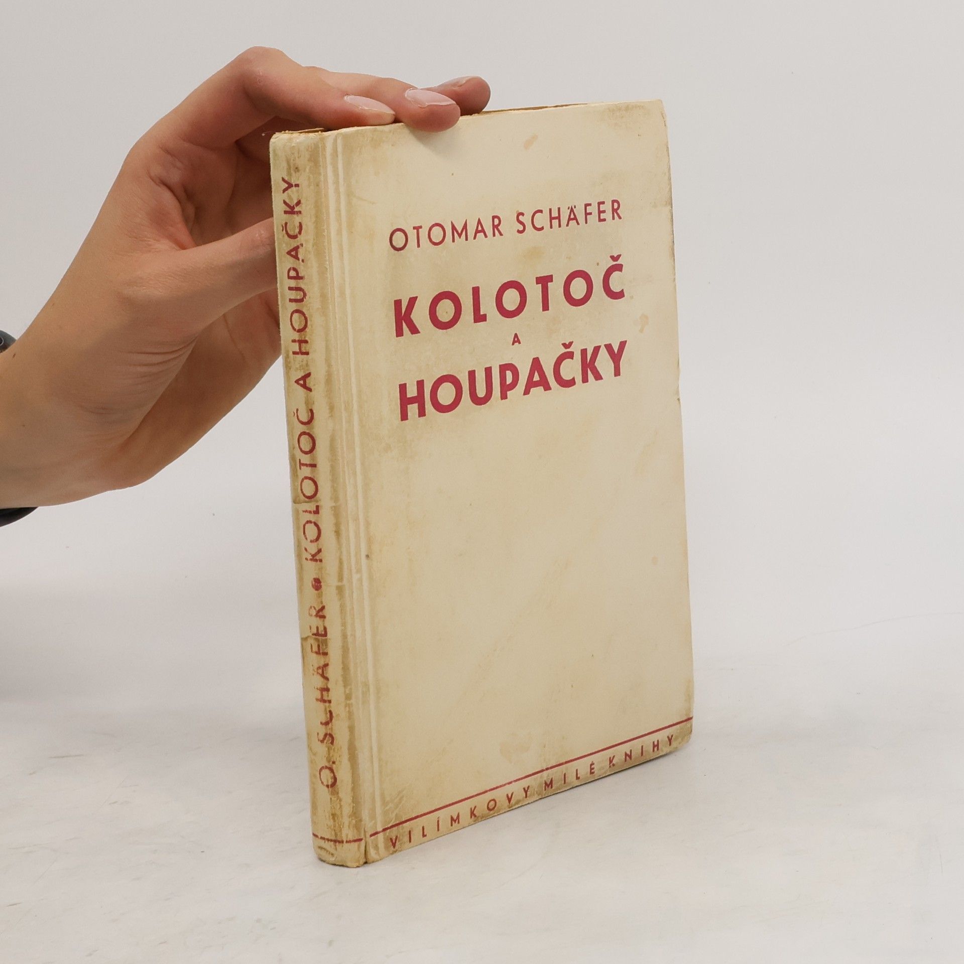 Otomar Schäfer Kolotoč a houpačky