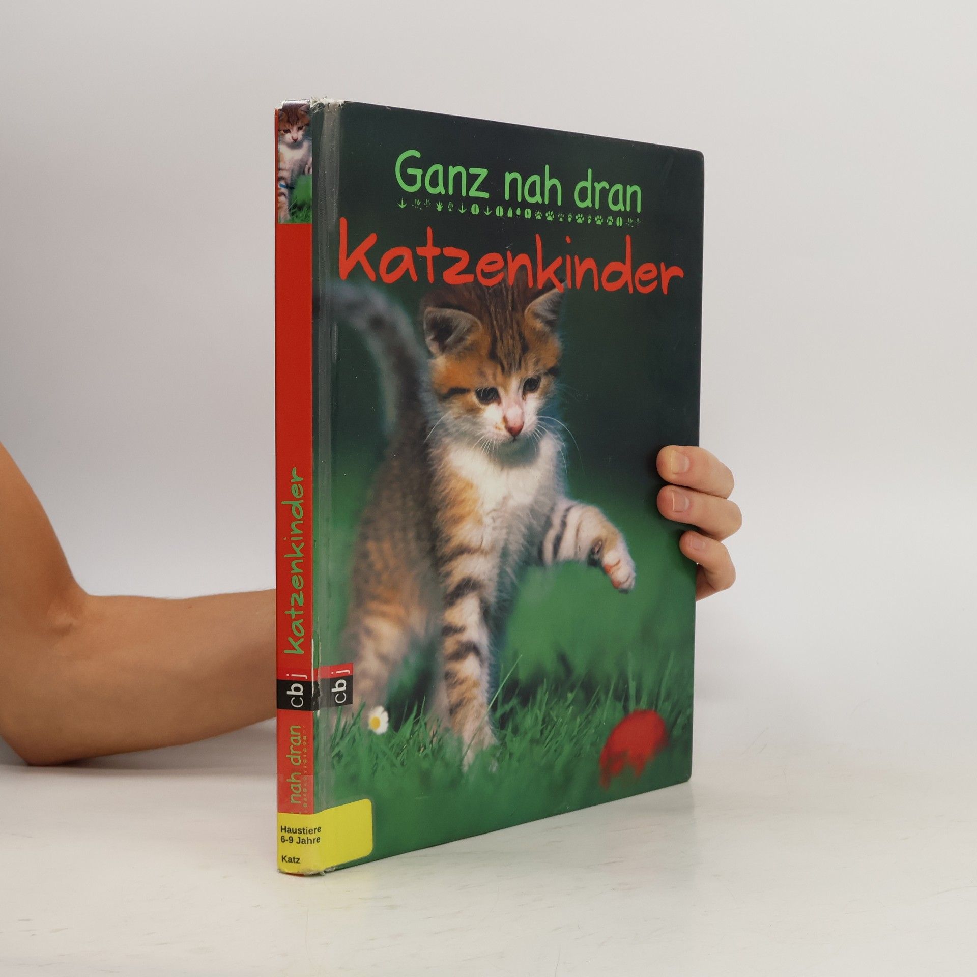 Cornelia Panzacchi Katzenkinder