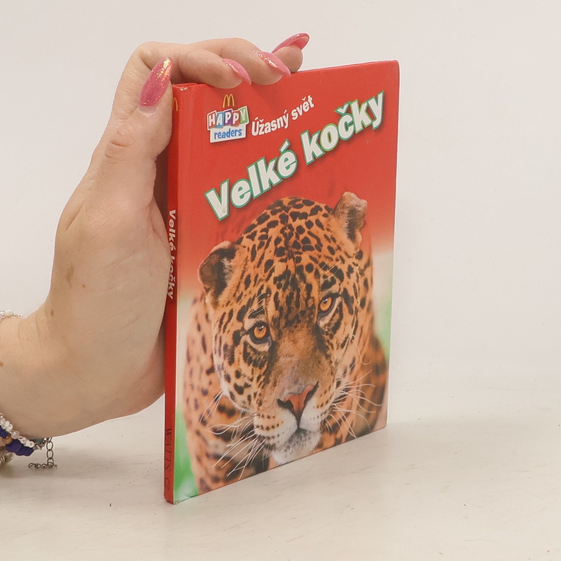 Autores varios Velké kočky