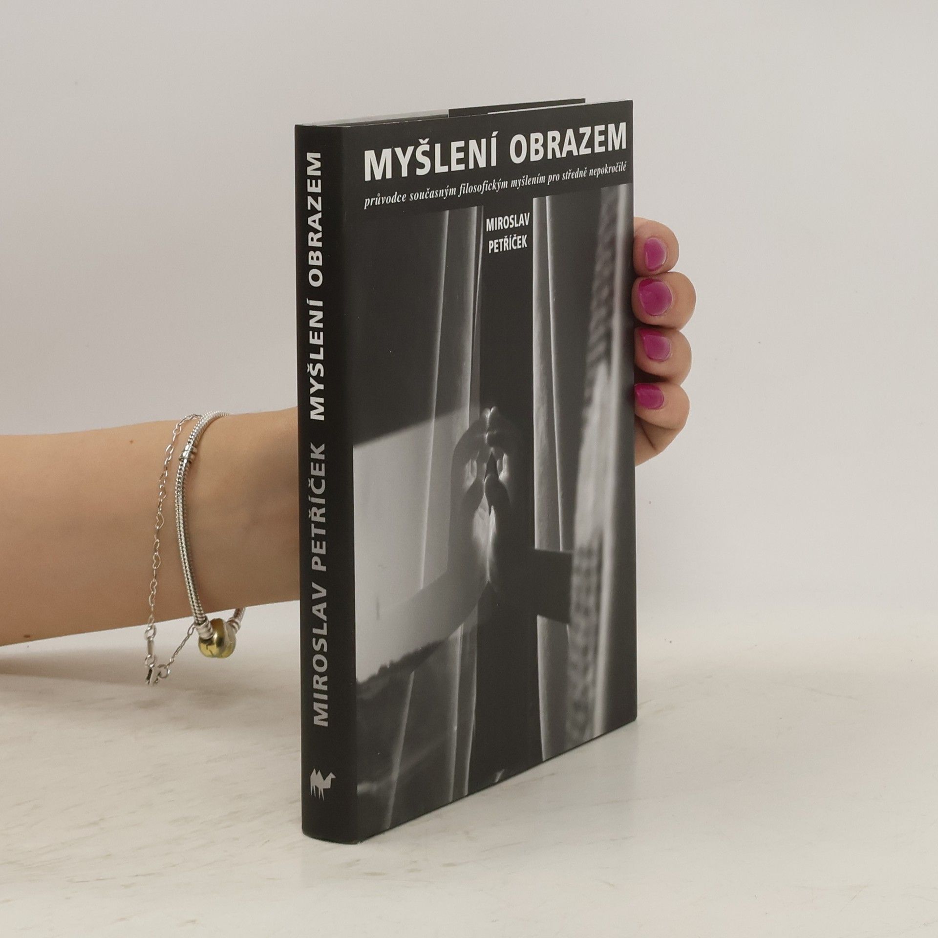 Miroslav Petříček Myšlení obrazem: Průvodce současným filosofickým myšlením pro středně nepokročilé