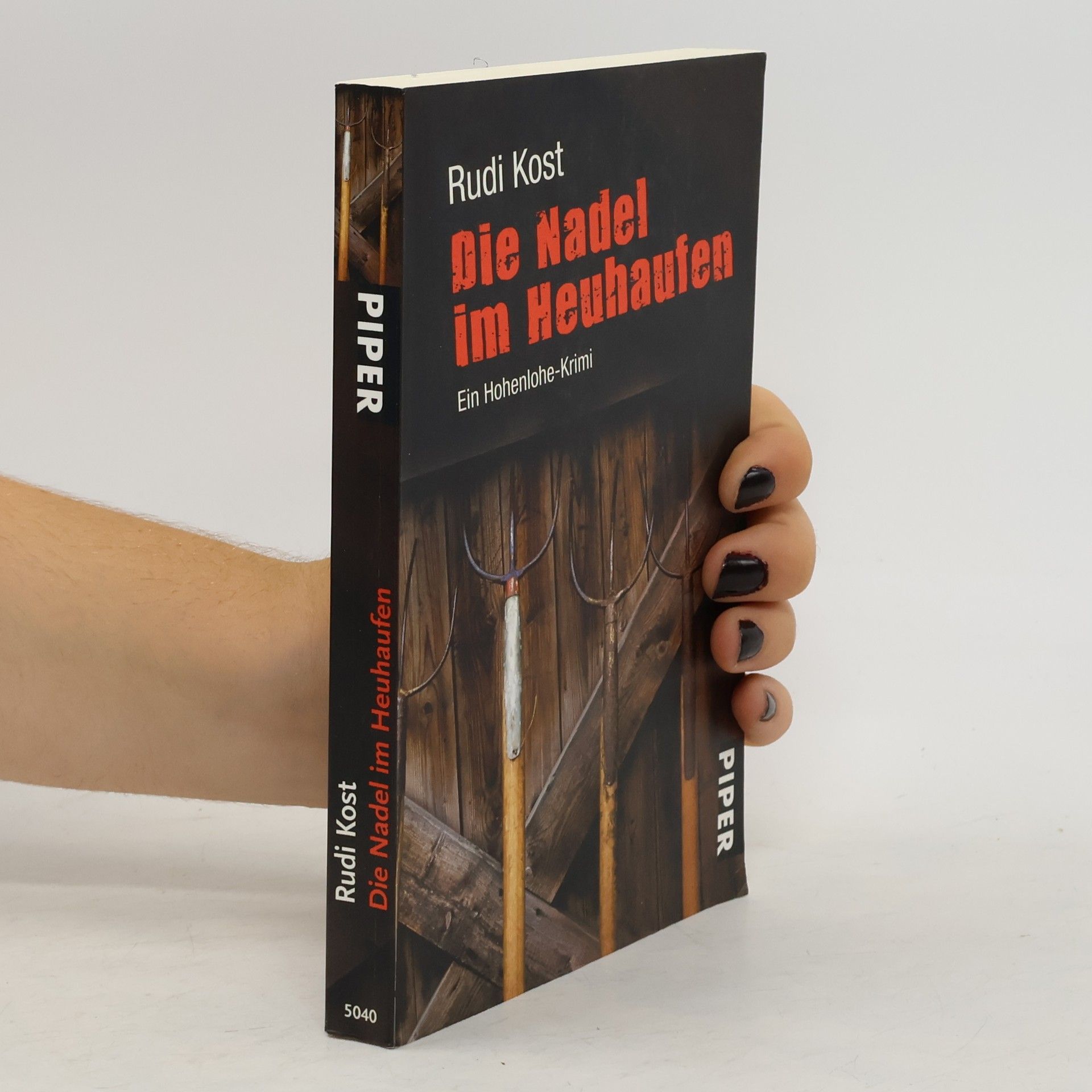 Rudi Kost Die Nadel im Heuhaufen