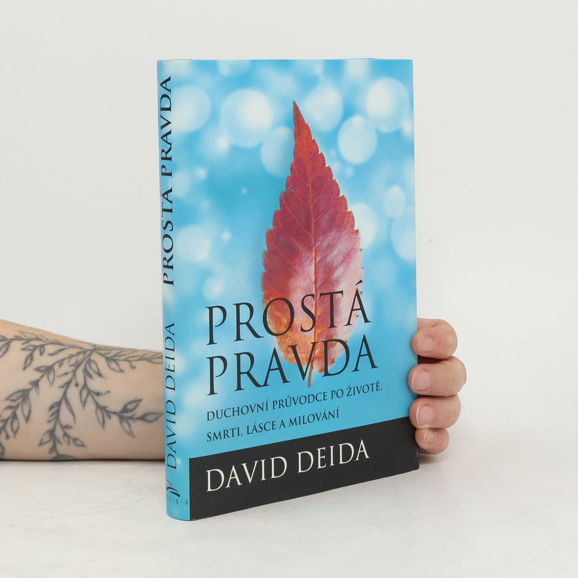 David Deida Prostá pravda