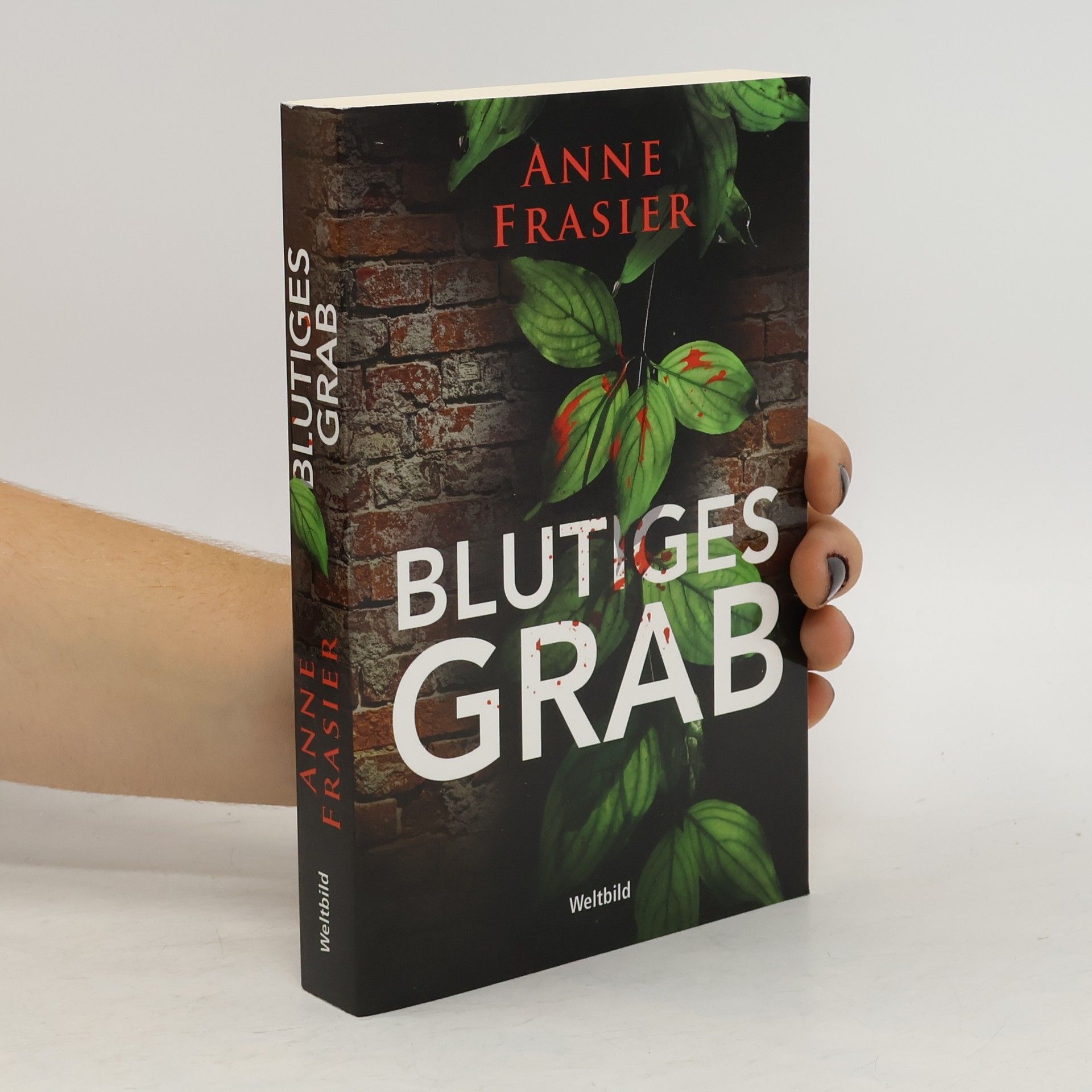 Anne Frasier Blutiges Grab