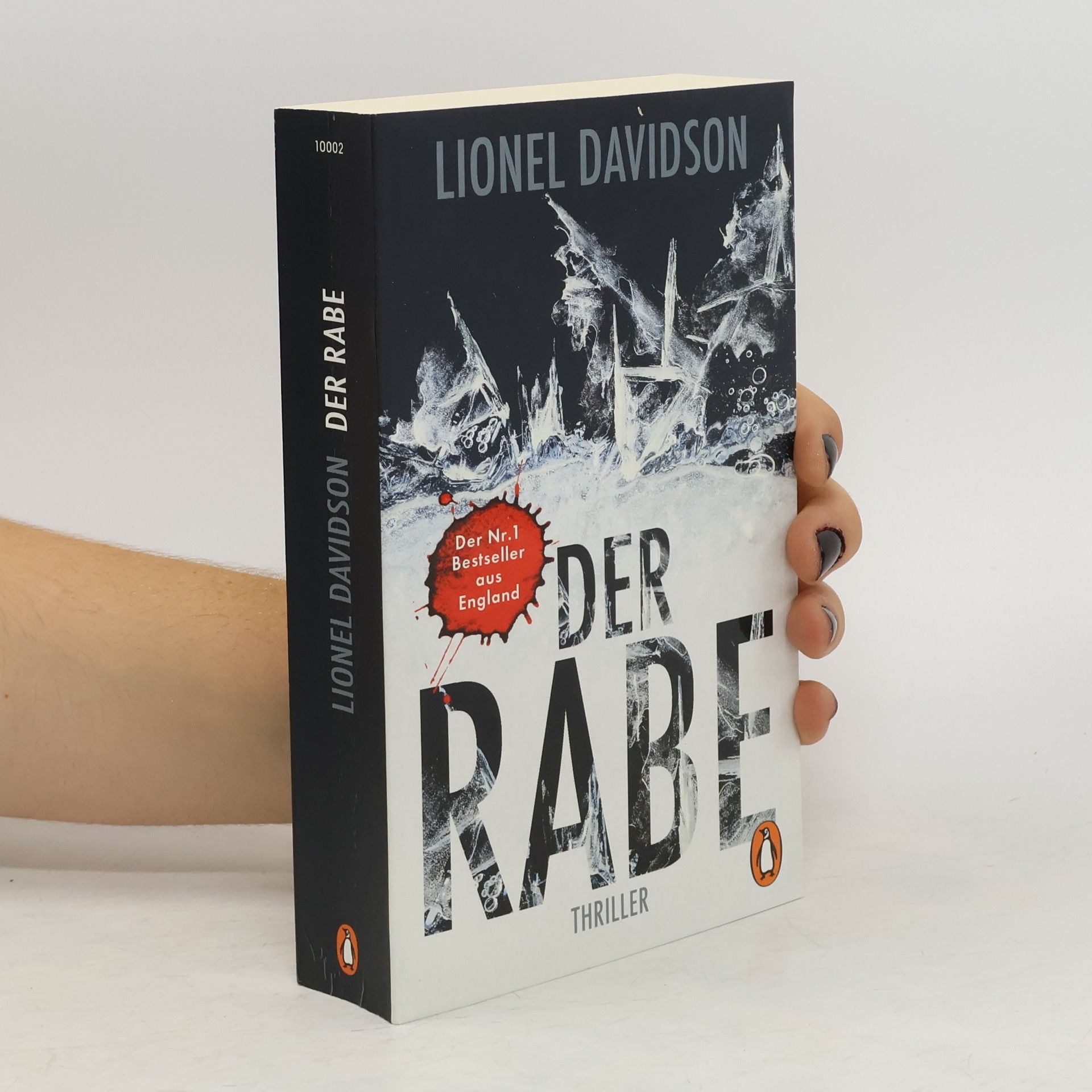 Lionel Davidson Der Rabe