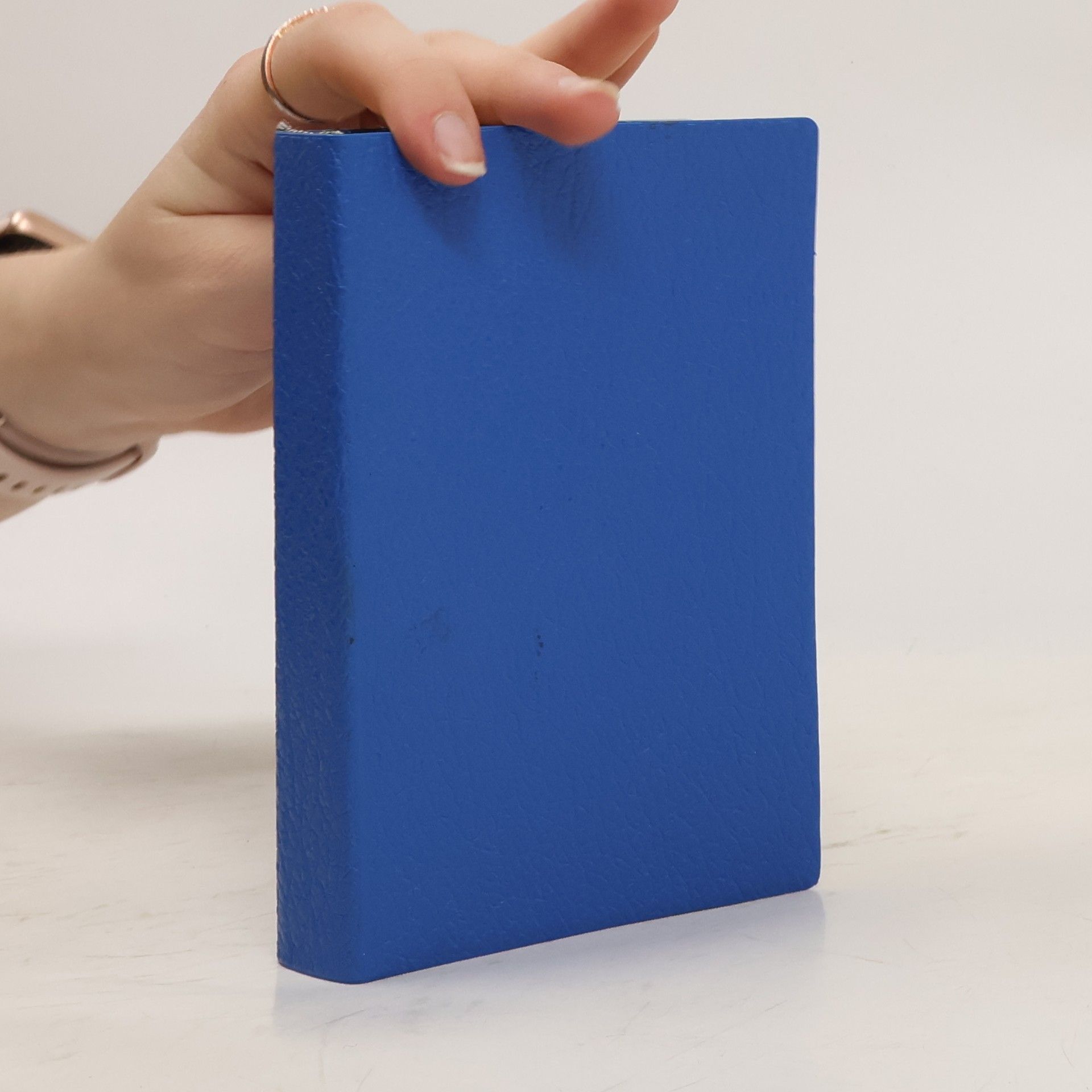 AA.VV. Biblí svatá aneb Všecka svatá Písma Starého i Nového zákona