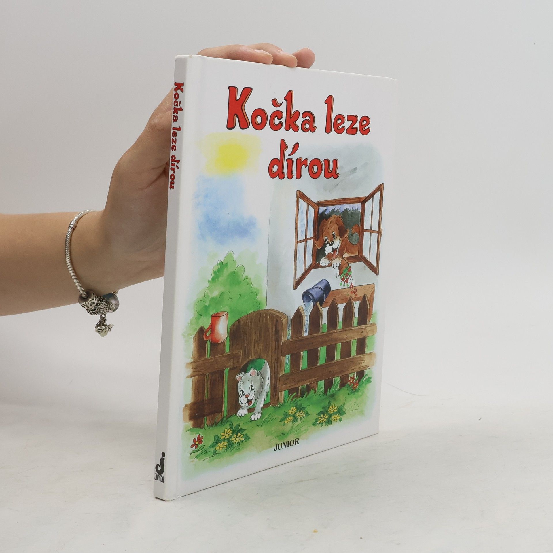 Vladimíra Vopičková Kočka leze dírou