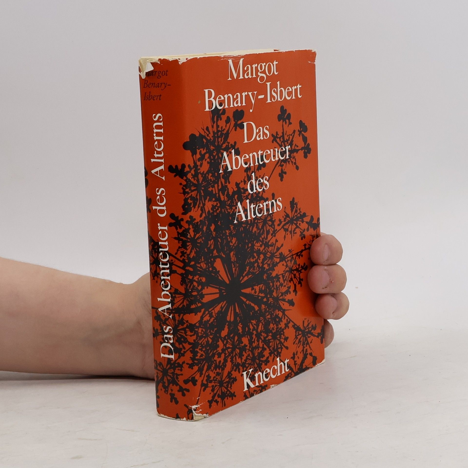 Margot Benary-Isbert Das Abenteuer des Alterns