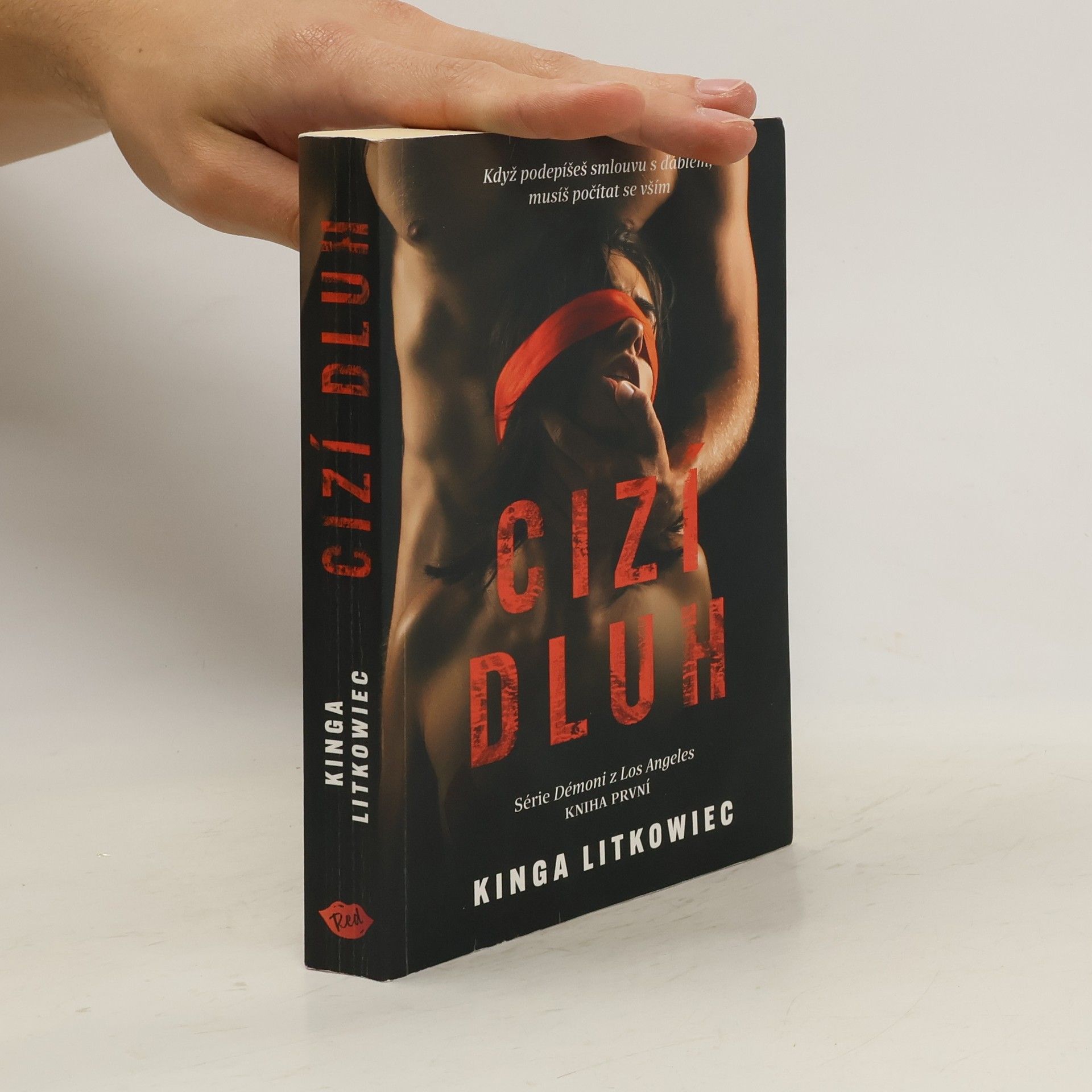Kinga Litkowiec Cizí dluh