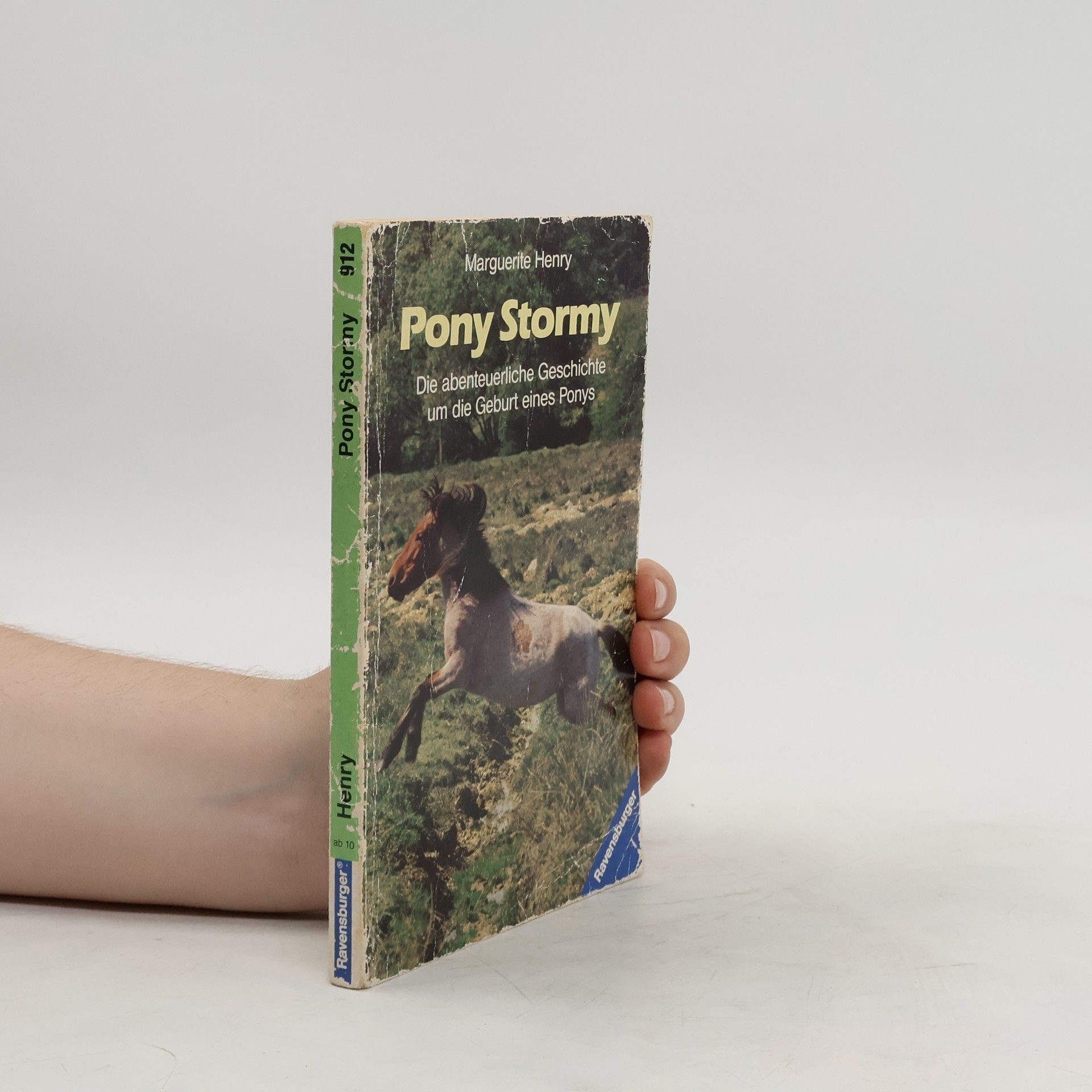 Marguerite Henry Pony Stormy. Die abenteuerliche Geschichte um die Geburt eines Ponys