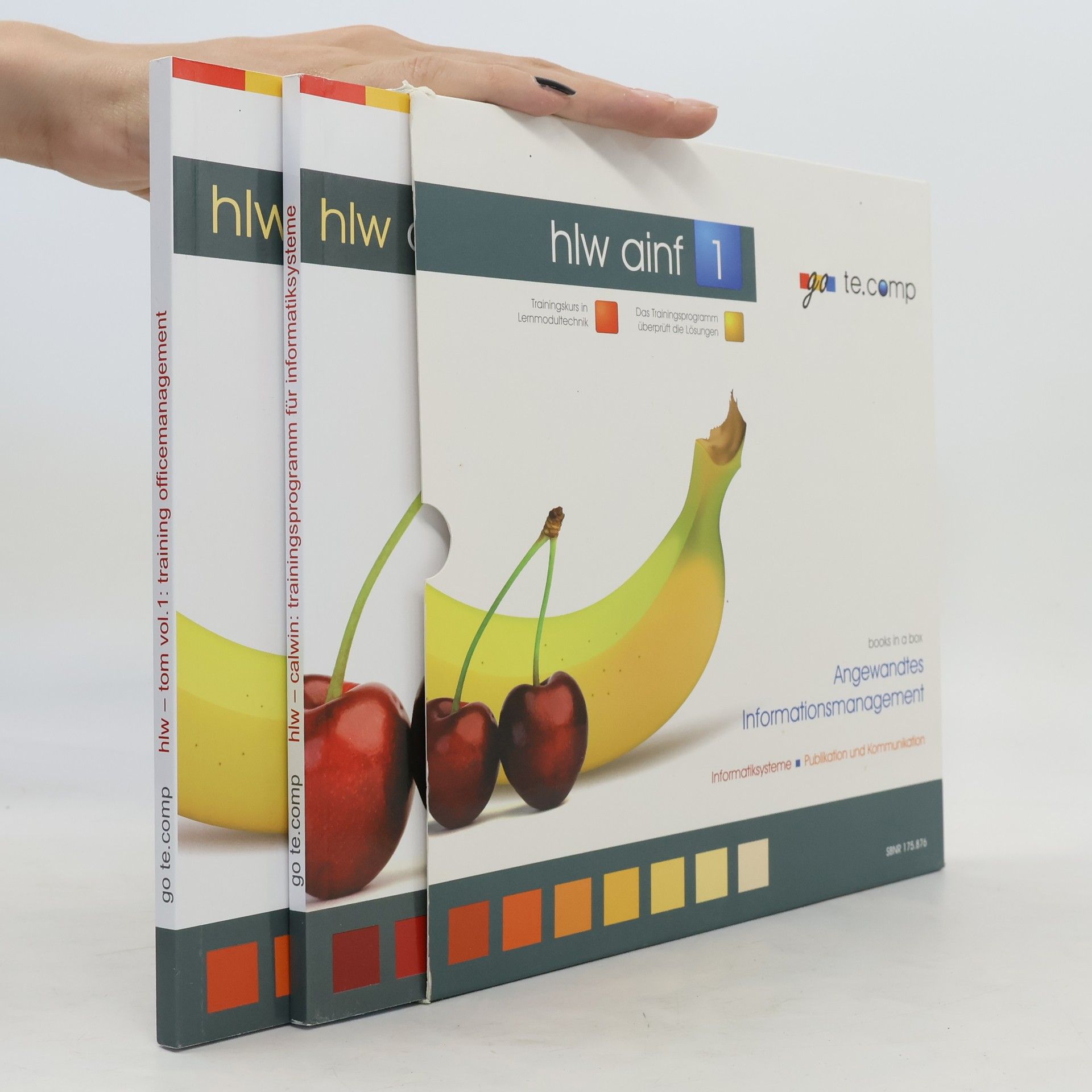 go te.comp - HLW Angewandtes Informationsmanagement 1