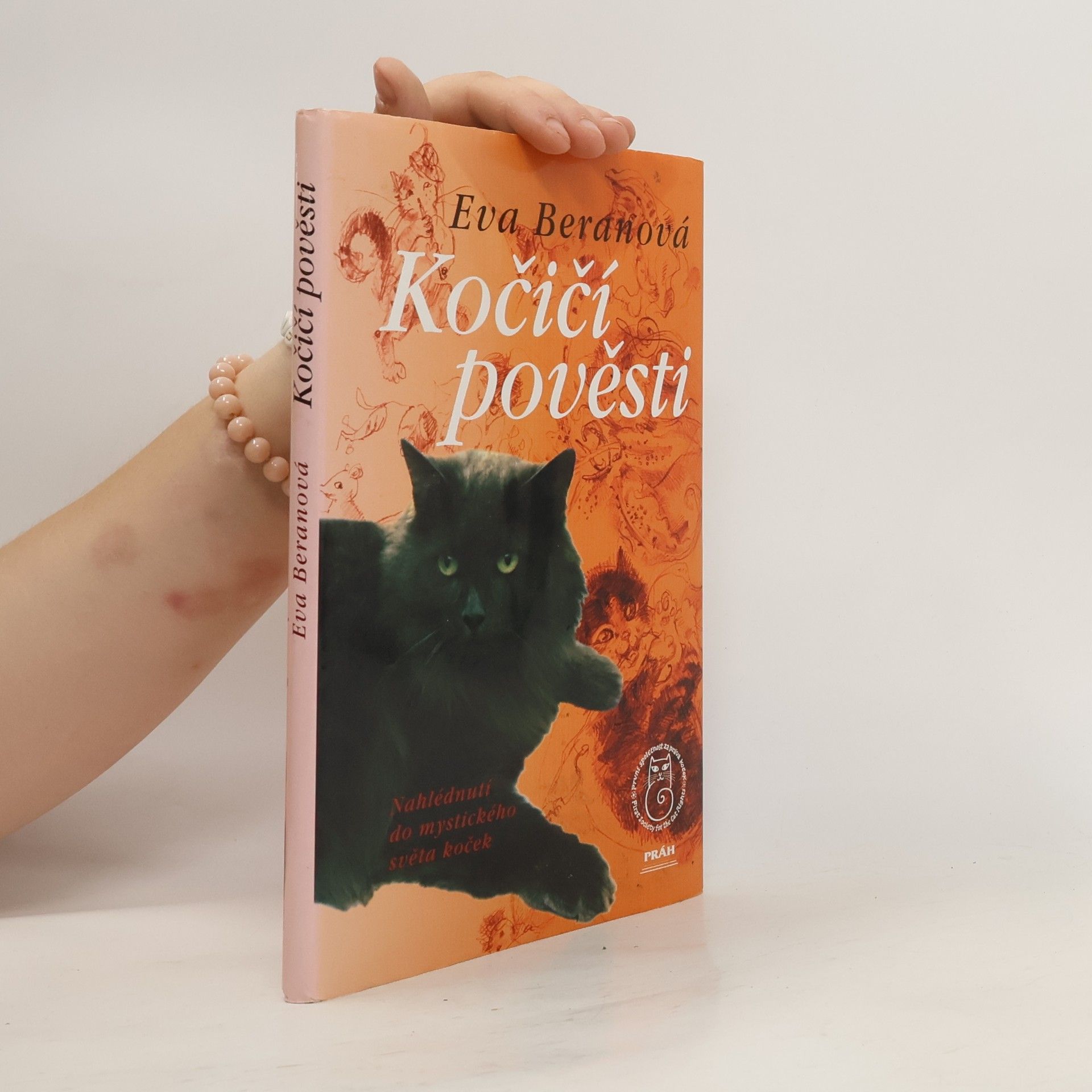 Eva Beranová Kočičí pověsti