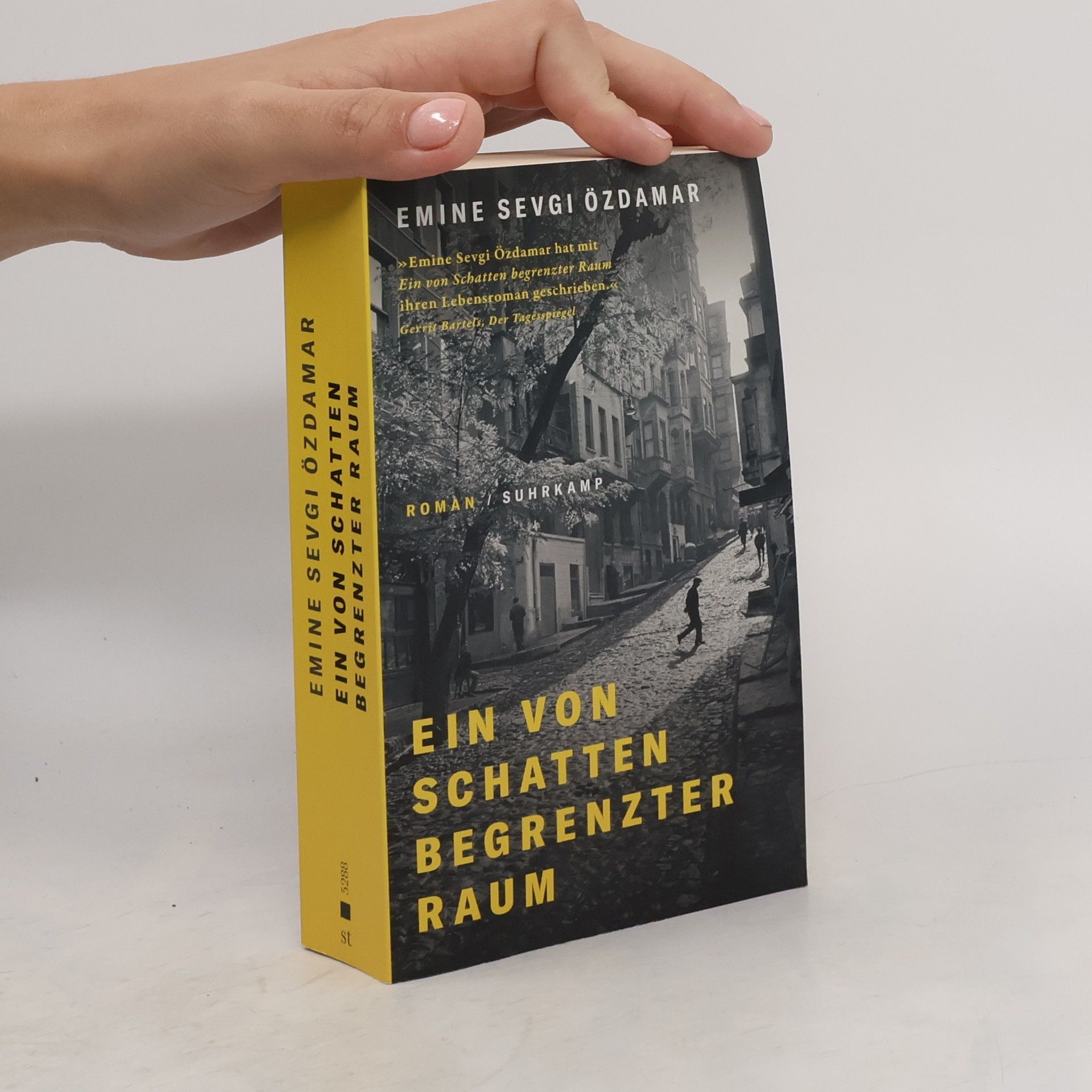 Emine Sevgi Özdamar Ein von Schatten begrenzter Raum