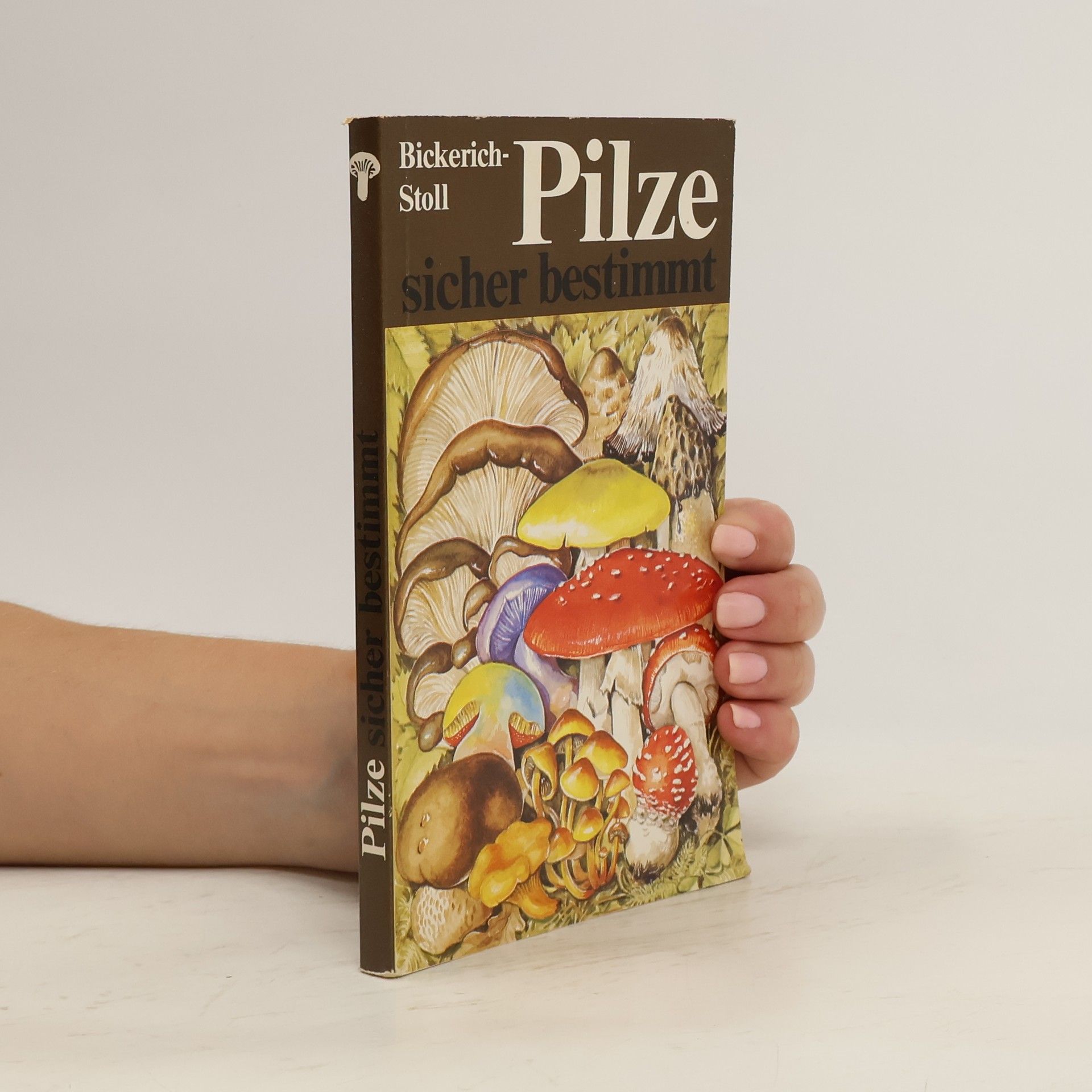 Katharina Bickerich Stoll Pilze sicher bestimmt