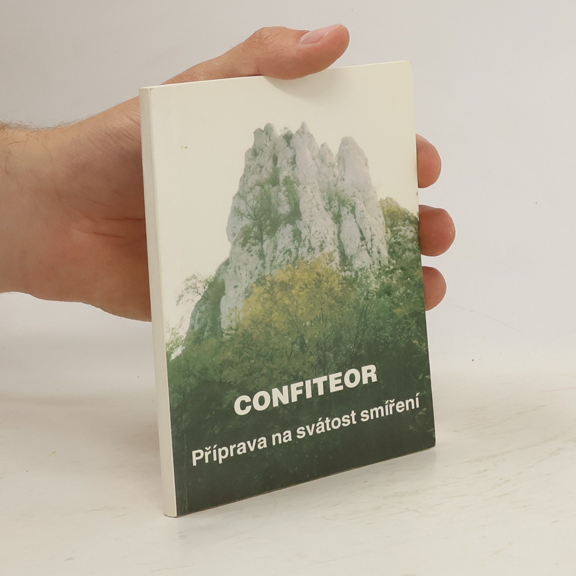 Jiří Plhoň Confiteor. Příprava na svátost smíření