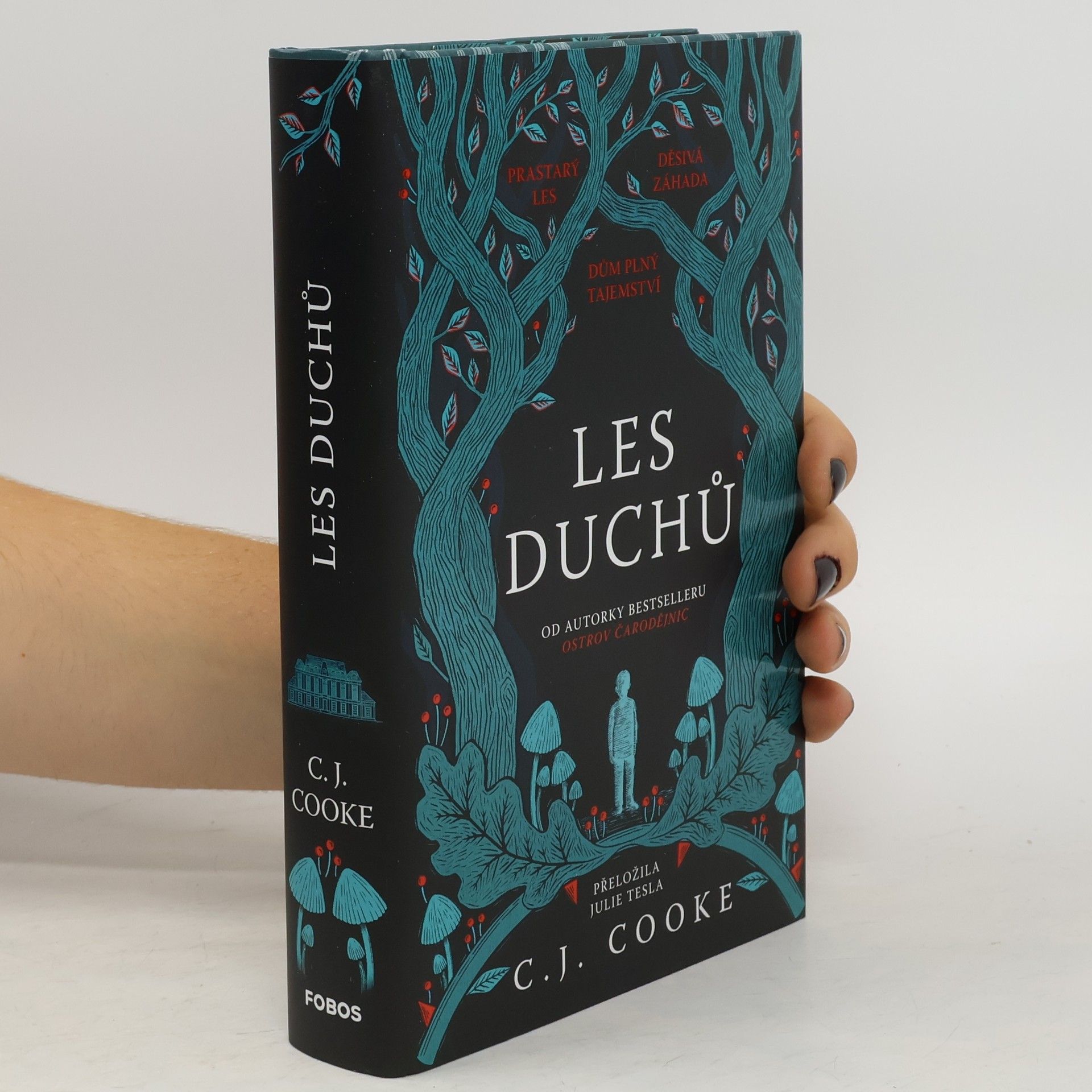 Carolyn Jess Cooke Les duchů