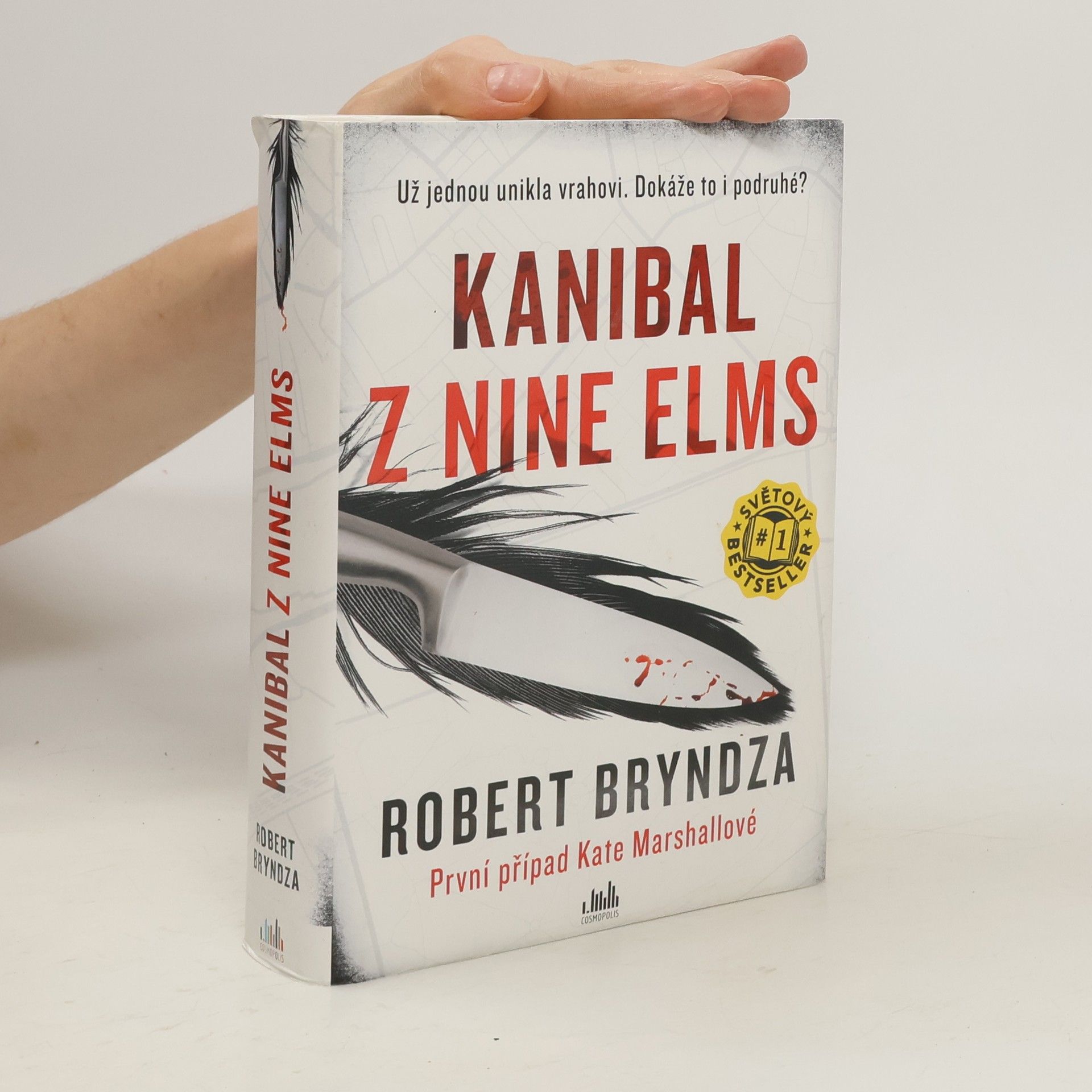 Robert Bryndza Kanibal z Nine Elms