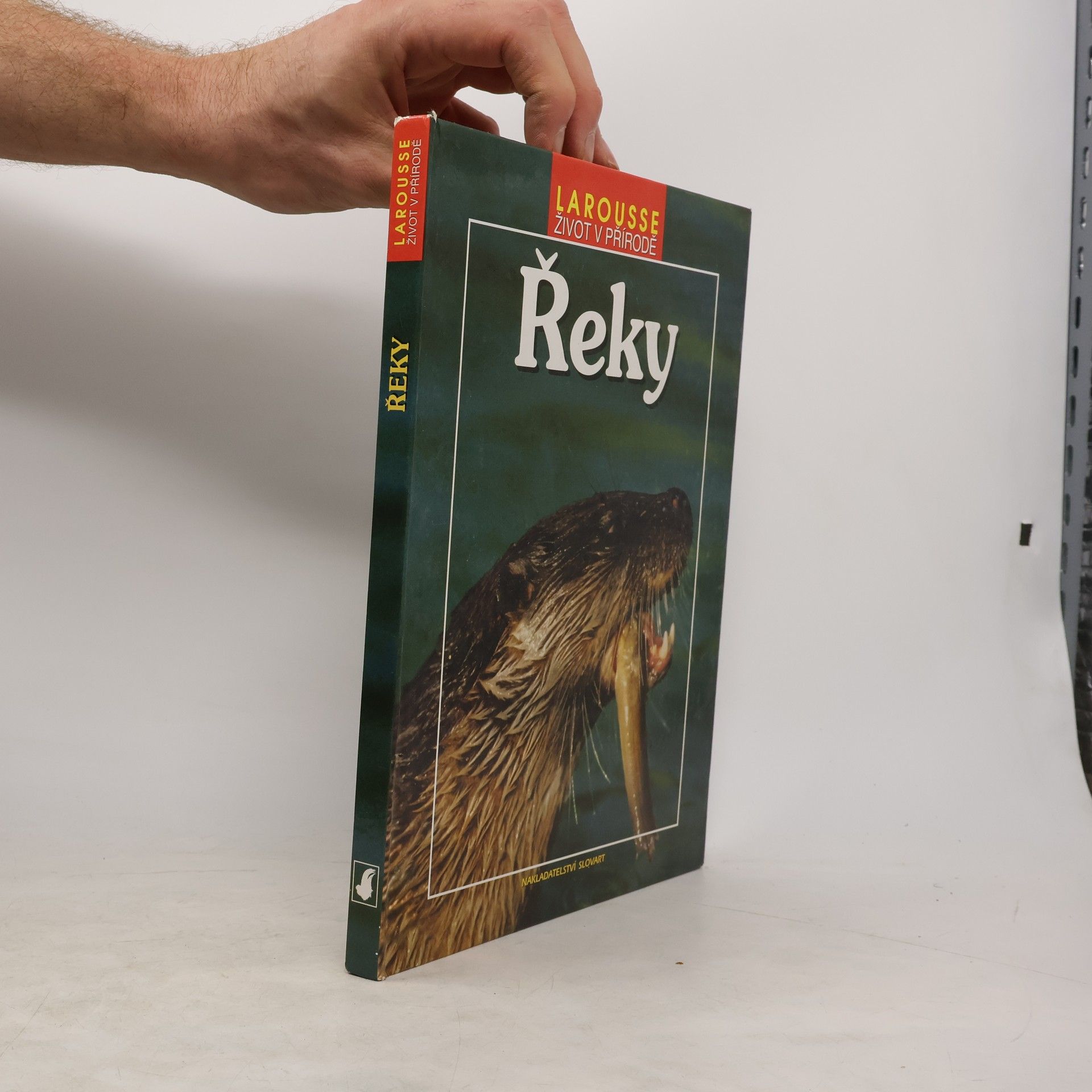 kolektiv Řeky