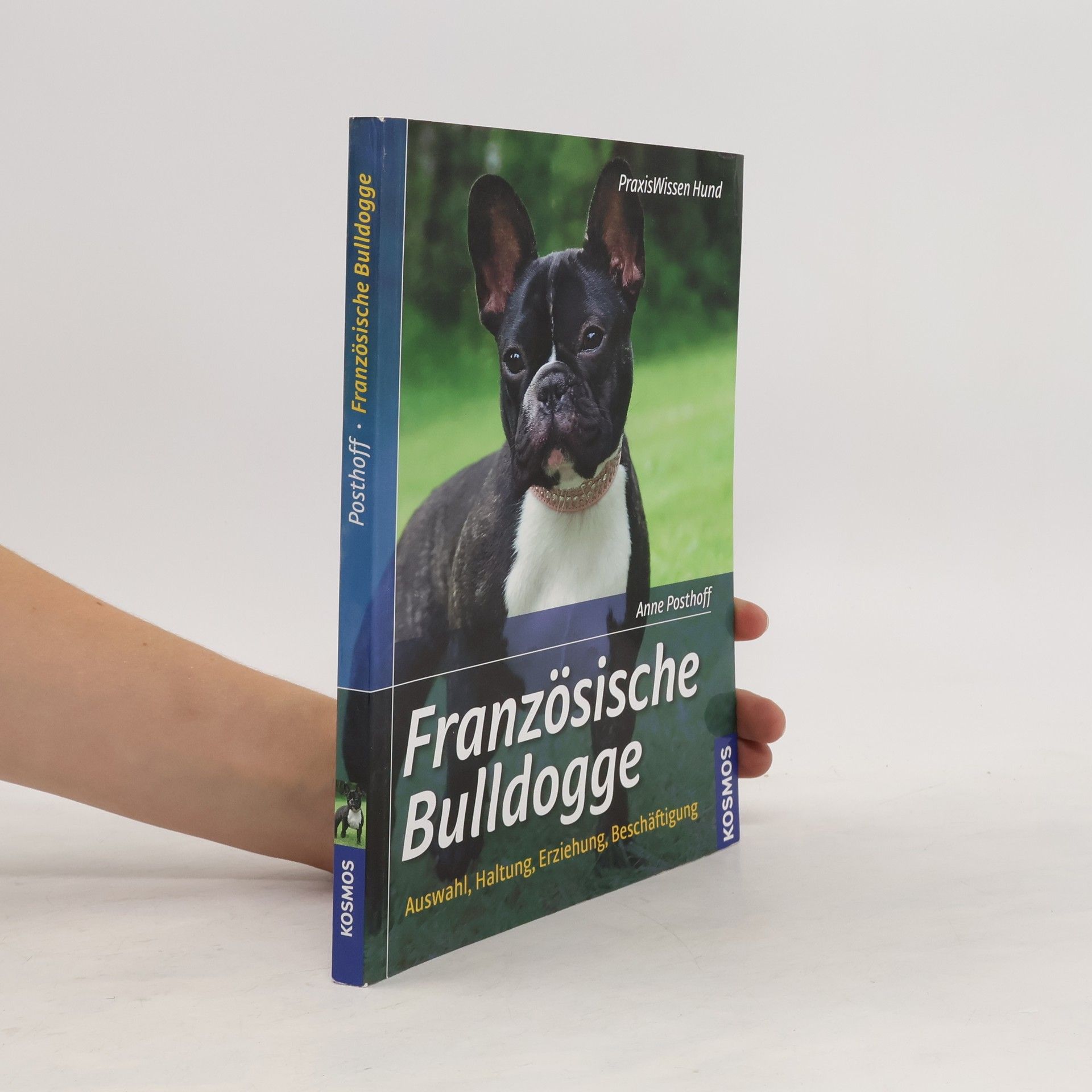 Anne Posthoff Französische Bulldogge