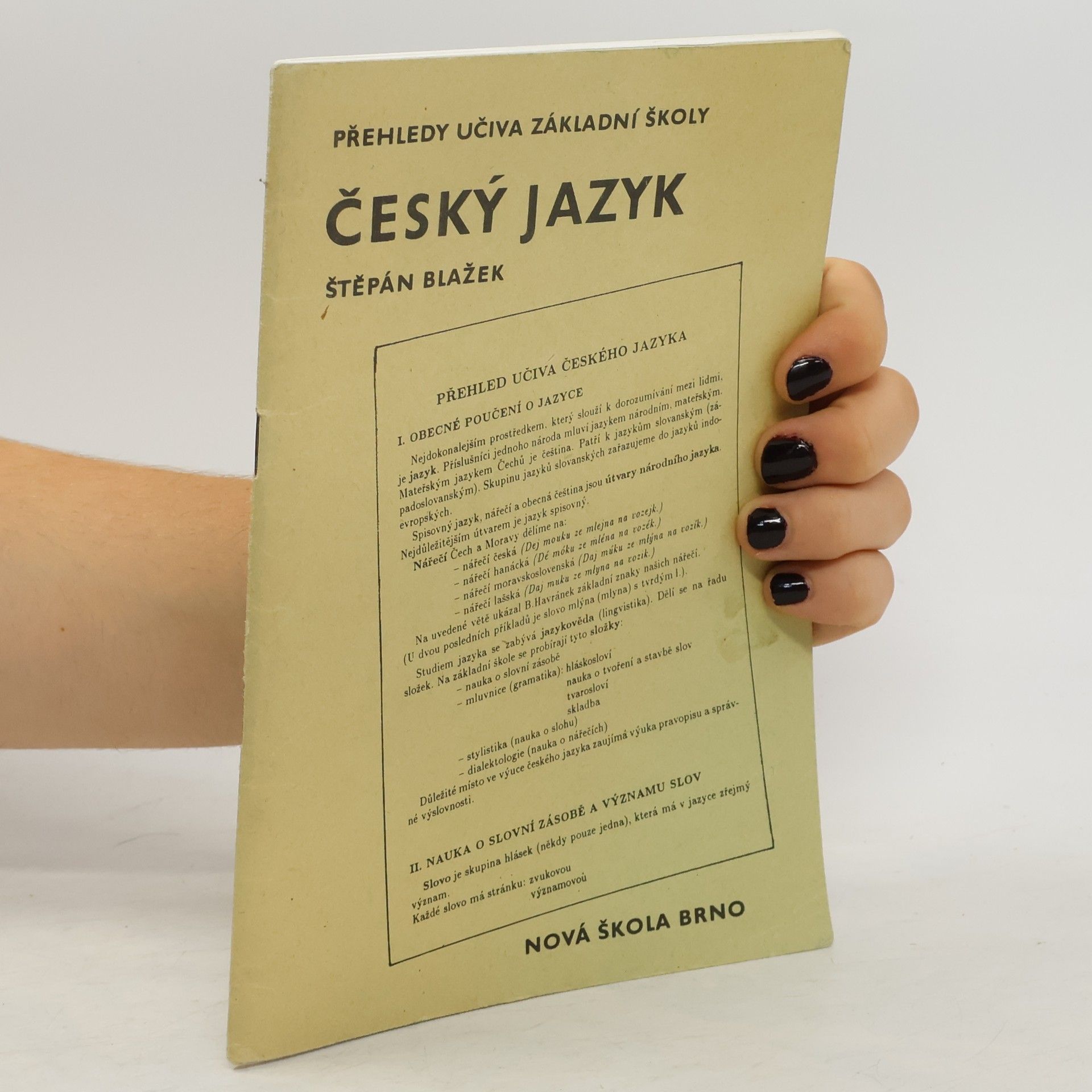 Štěpán Blažek Český jazyk : Přehledy učiva základní školy
