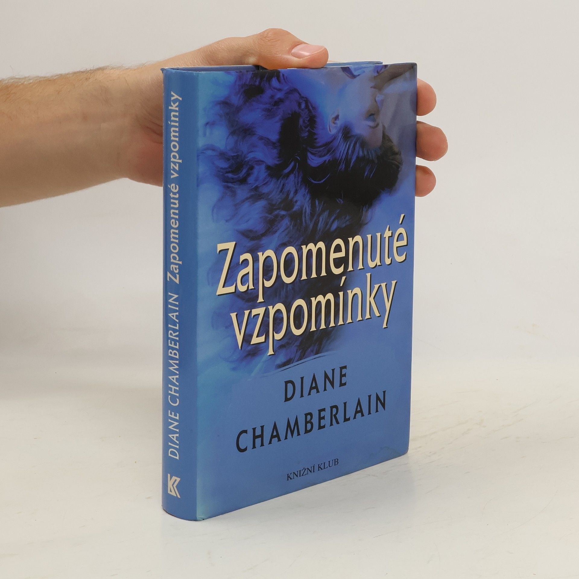 Diane Chamberlain Zapomenuté vzpomínky