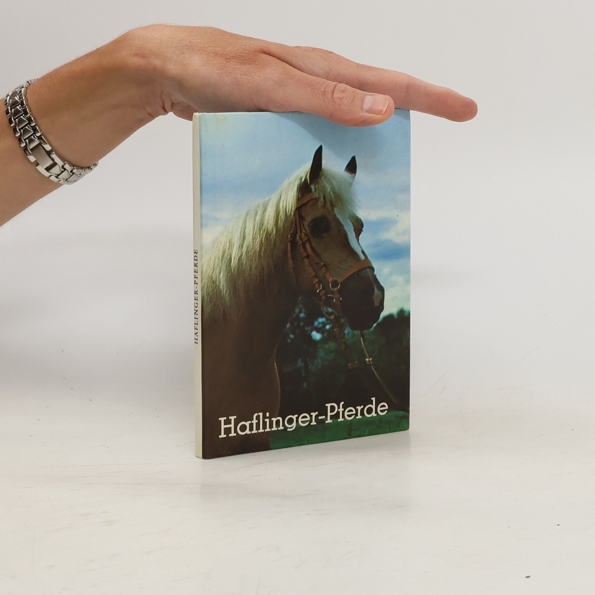 Autorenkollektiv Haflinger-Pferde