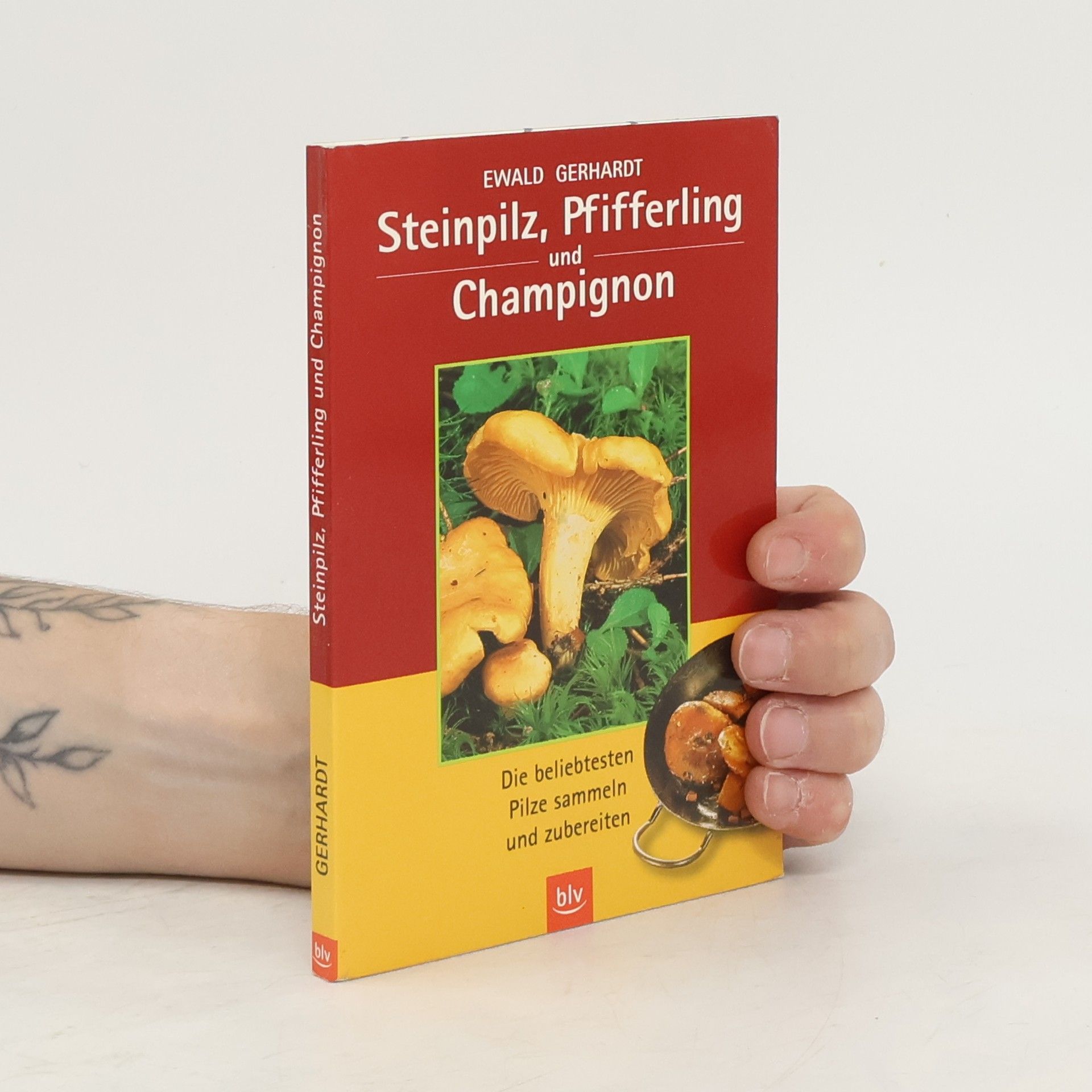 Ewald Gerhardt Steinpilz, Pfifferling und Champignon