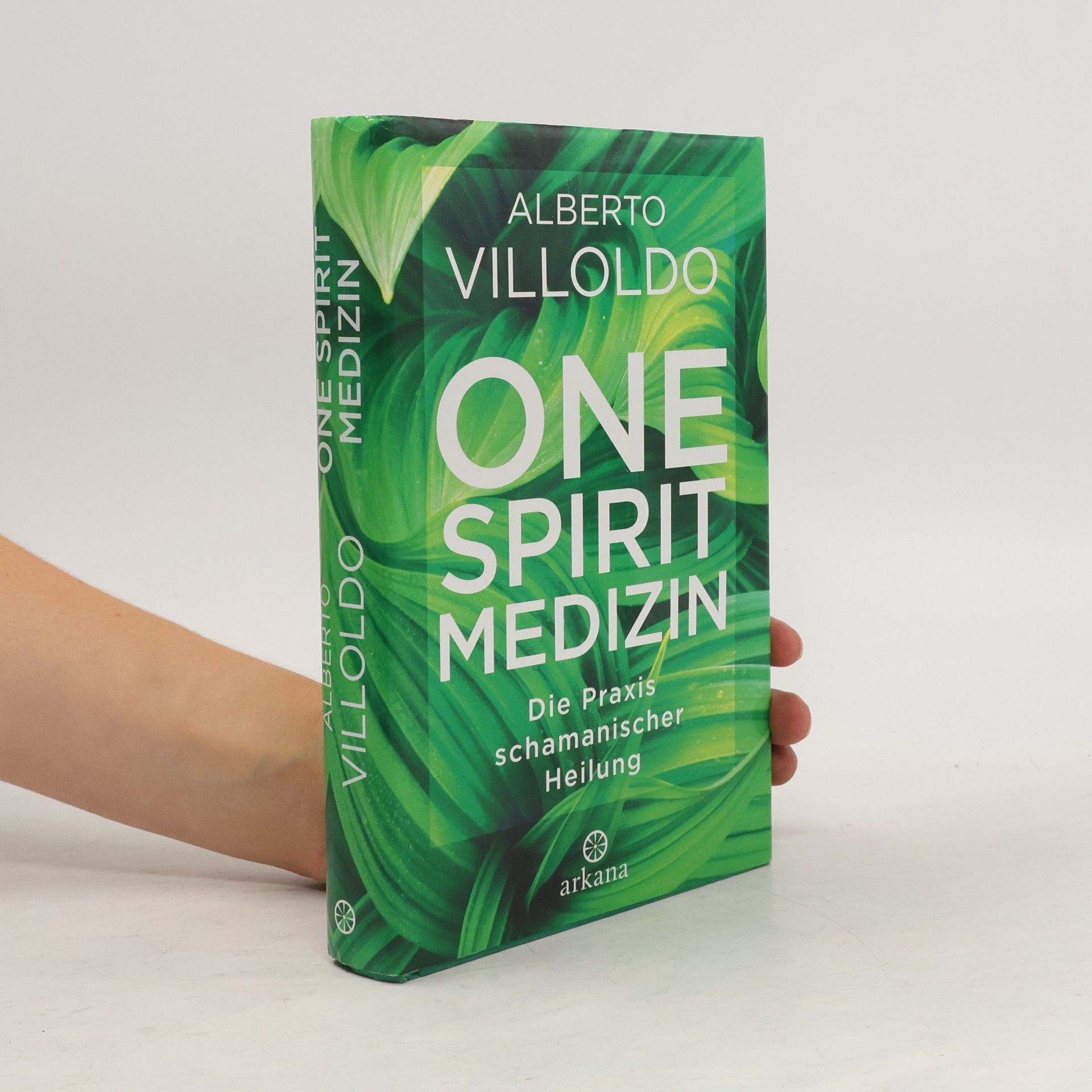 Alberto Villoldo One Spirit Medizin