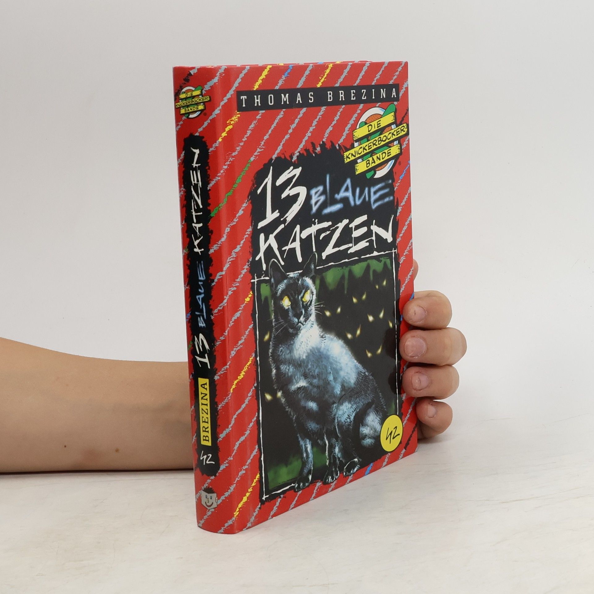 Thomas Brezina Die Knickerbocker-Bande. 13 blaue Katzen
