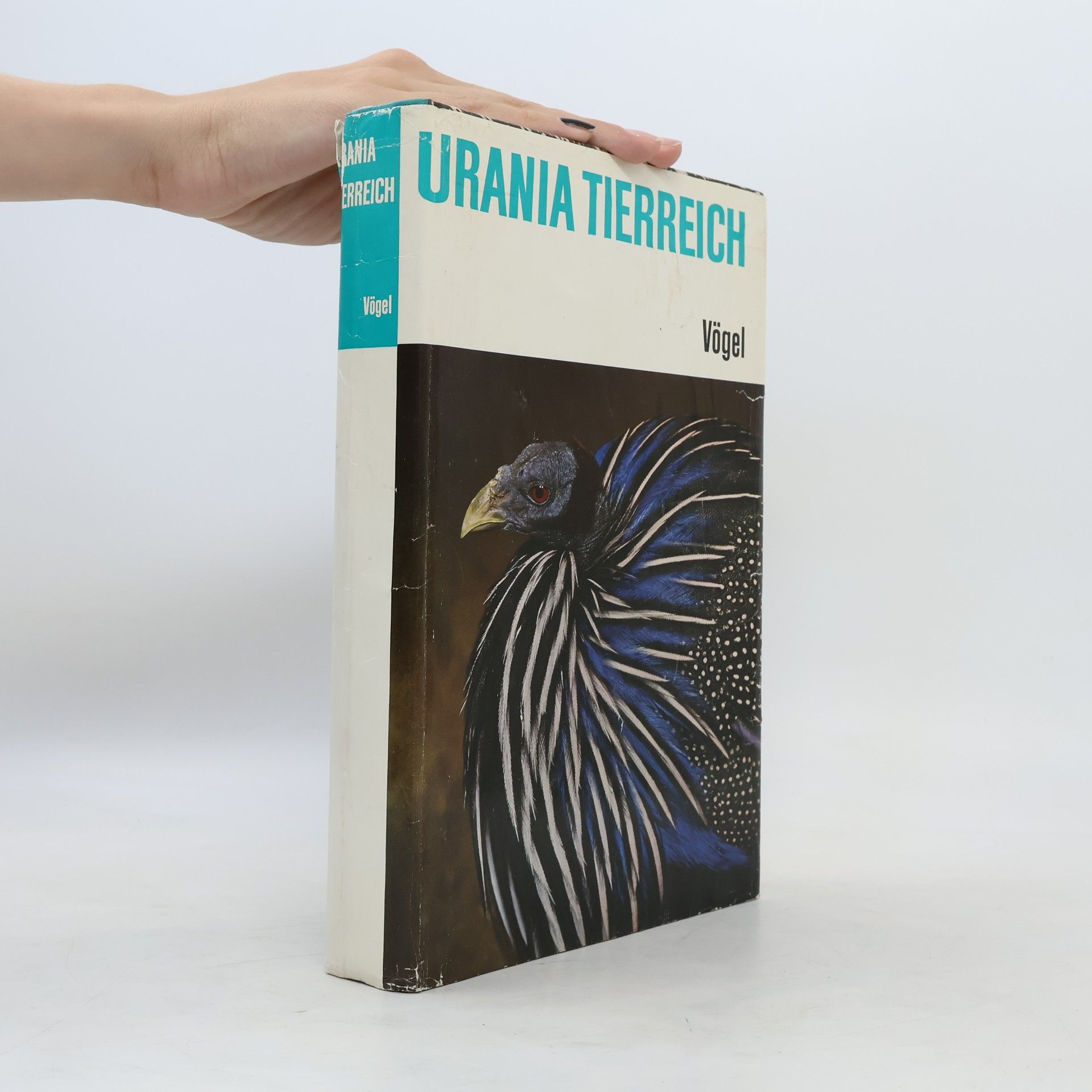 kolektiv Urania Tierreich. Vögel