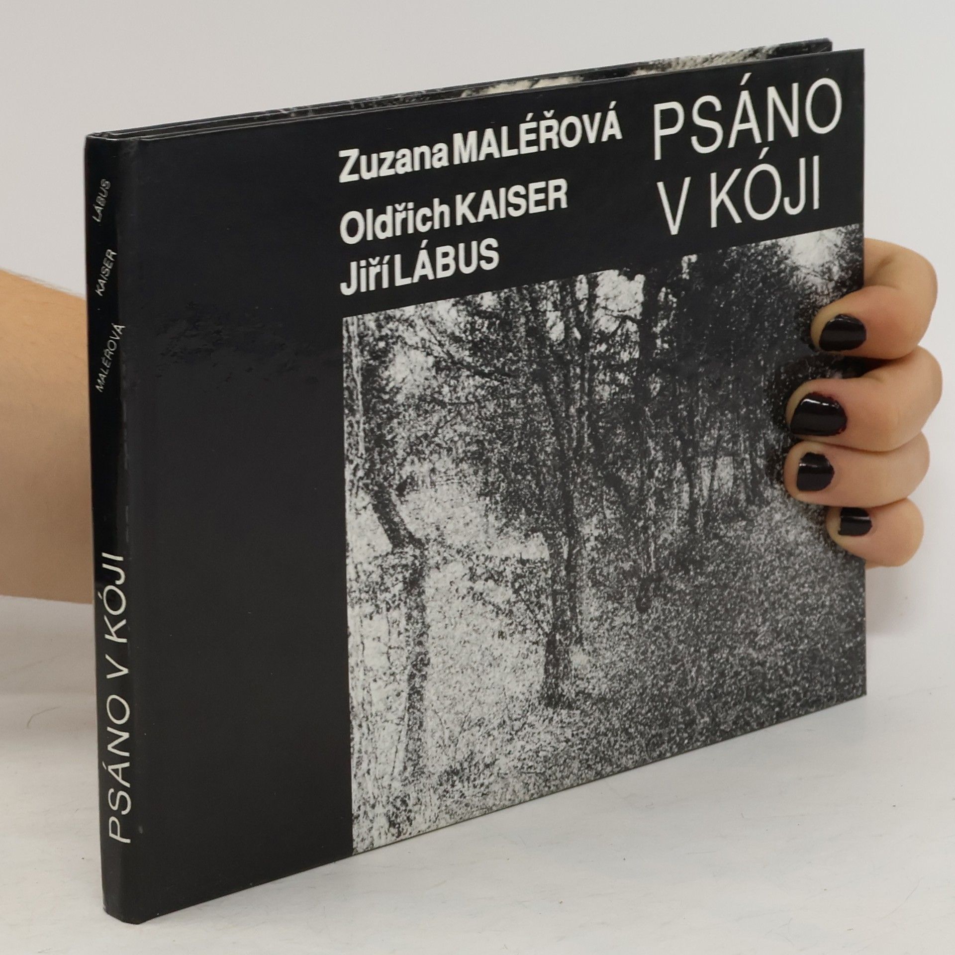 Zuzana Maléřová Psáno v kóji