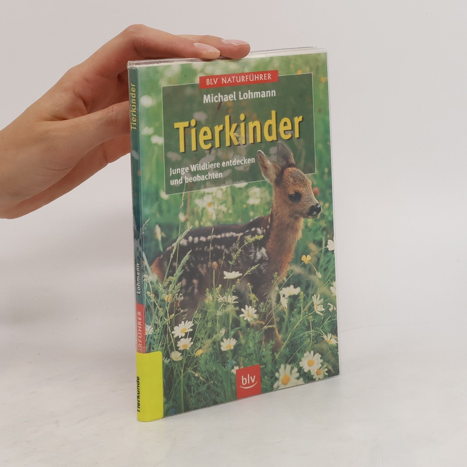Michael Lohmann Tierkinder