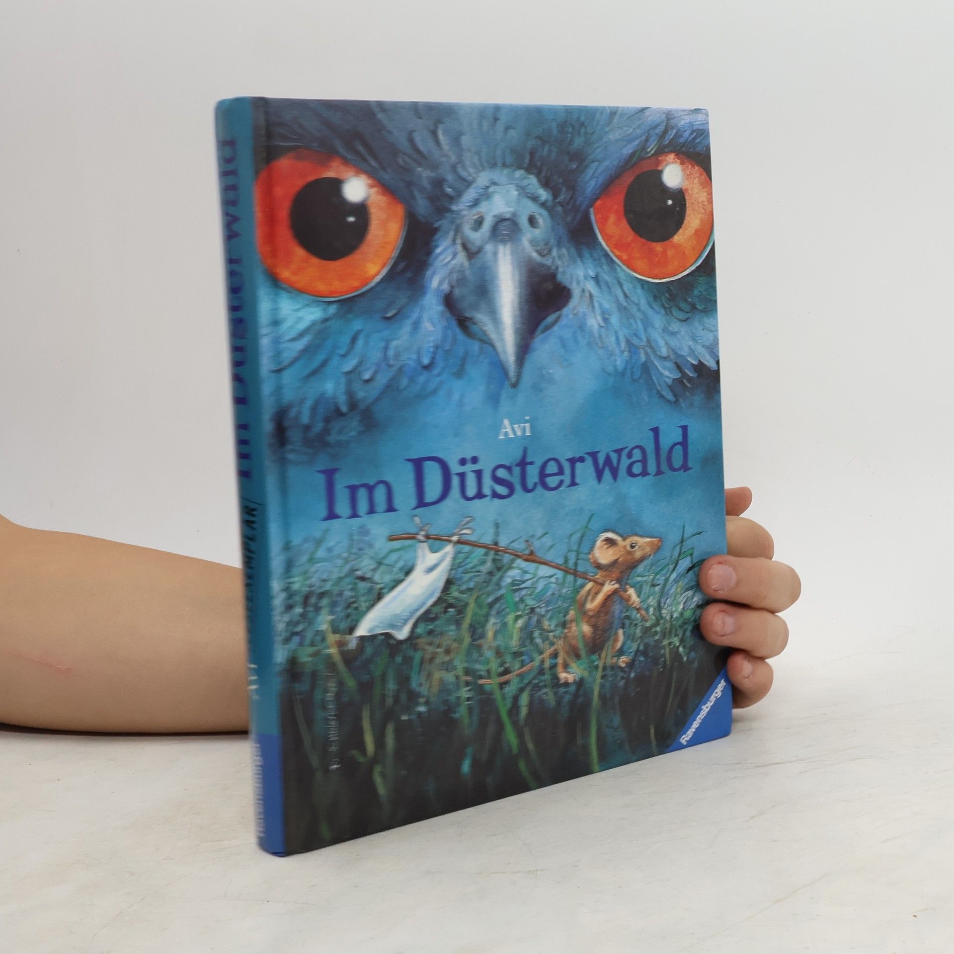 Avi Im Düsterwald