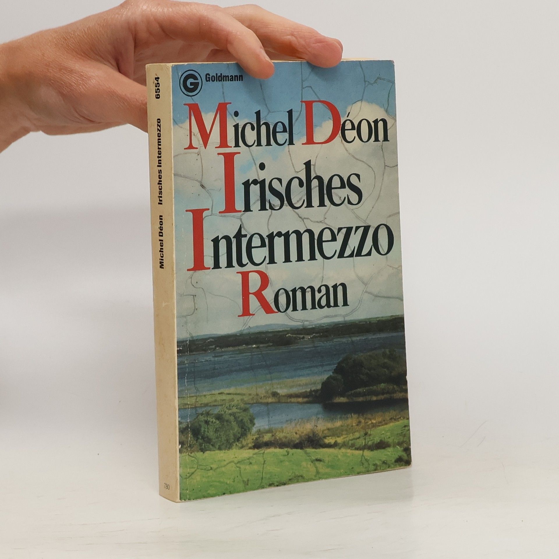 Michel Déon Irisches Intermezzo