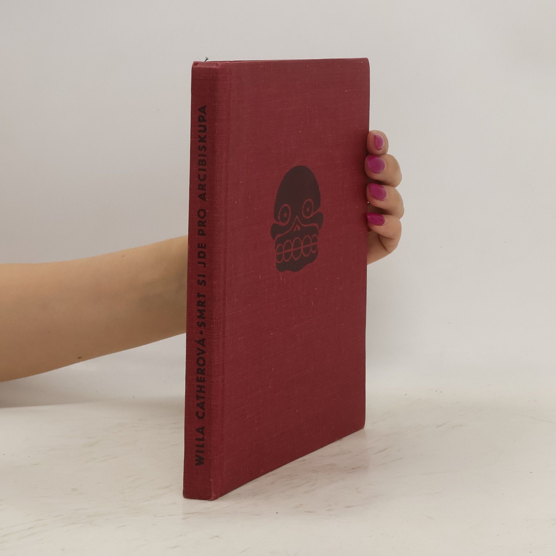 Willa Cather Smrt si jde pro arcibiskupa