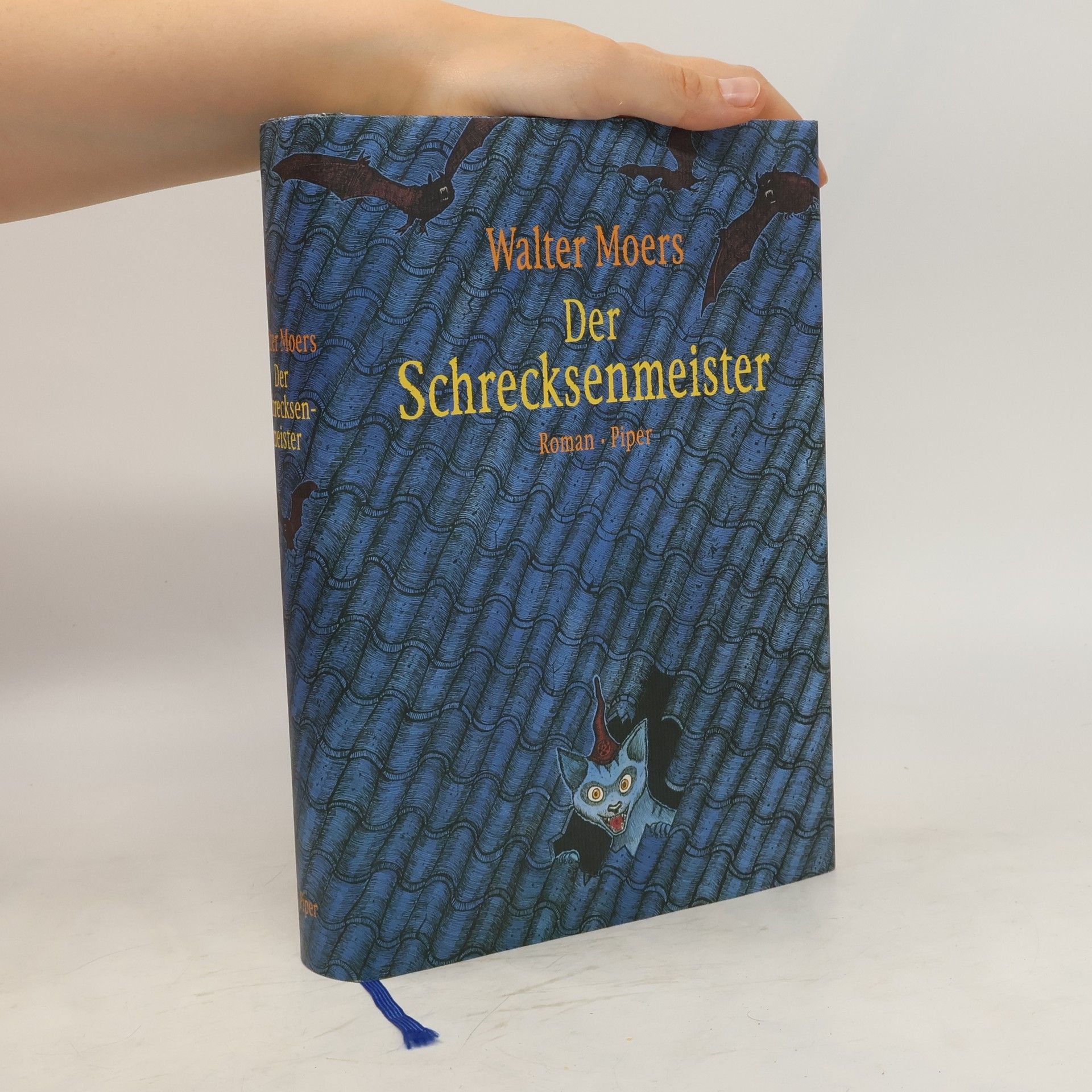 Walter Moers Der Schrecksenmeister