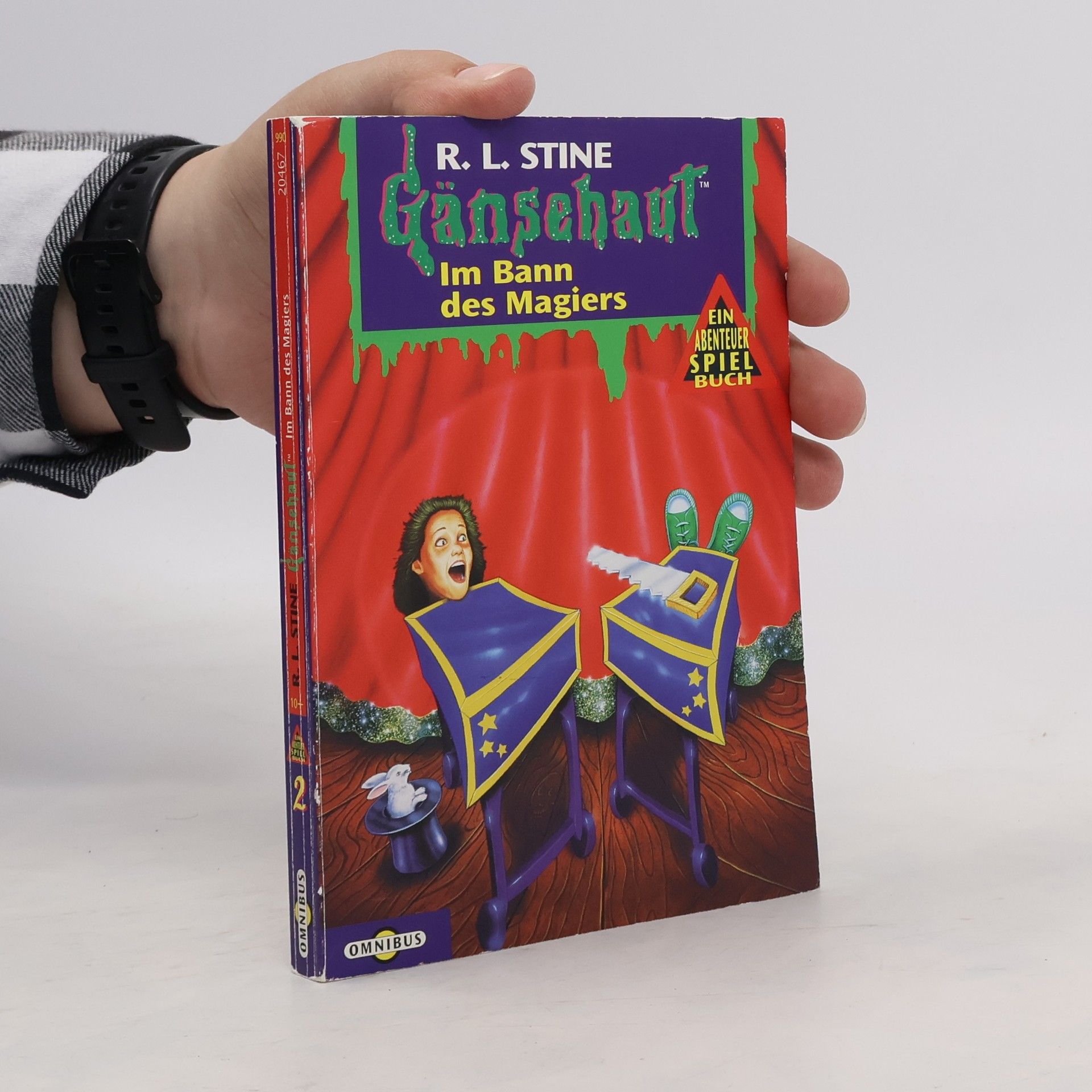 R. L. Stine Gänsehaut, Ein Abenteuer-Spielbuch. Tl.2. Im Bann des Magiers