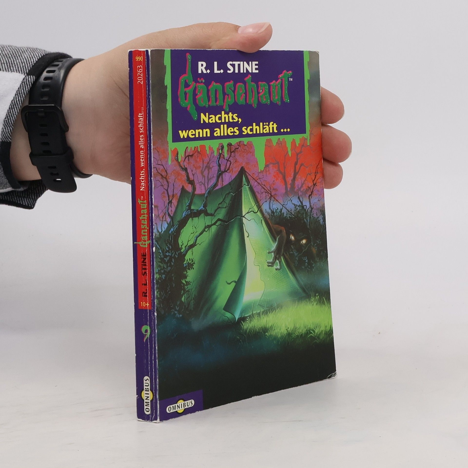 R. L. Stine Gänsehaut 9. Nachts, wenn alles schläft