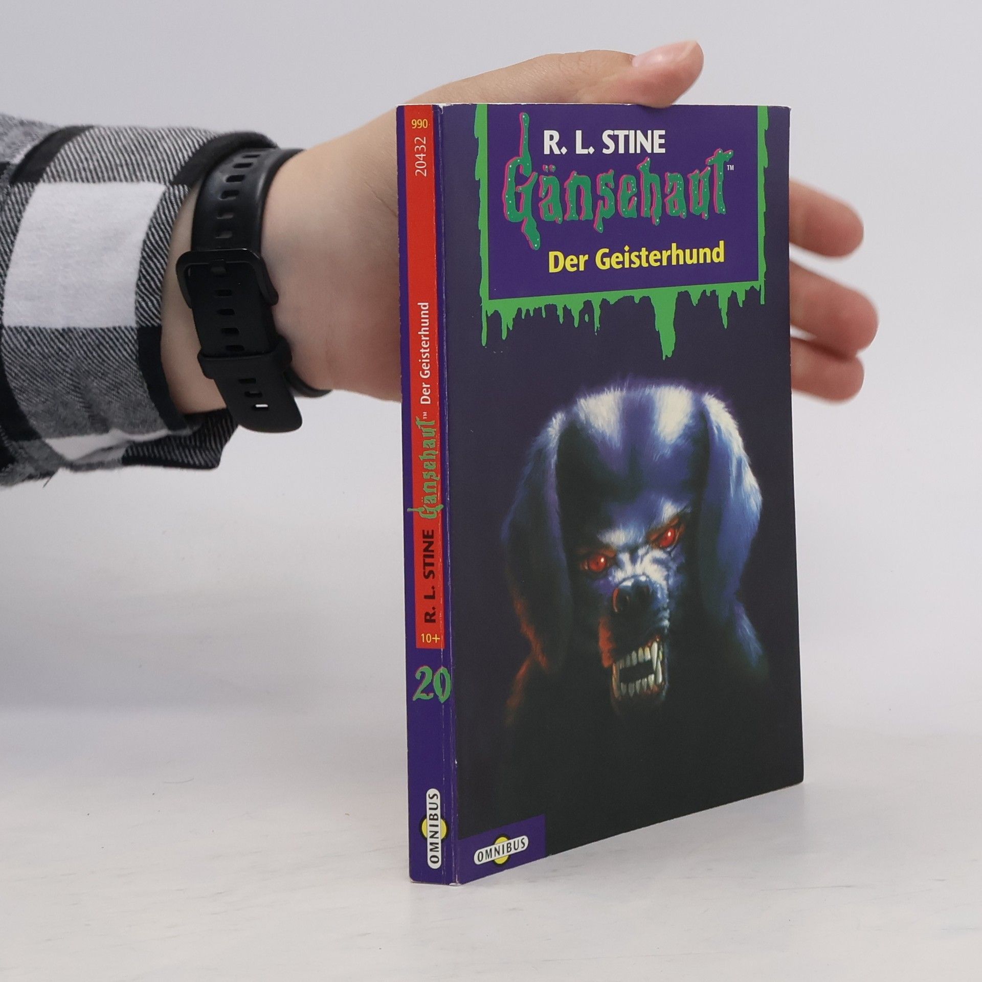 R. L. Stine Gänsehaut 20. Der Geisterhund