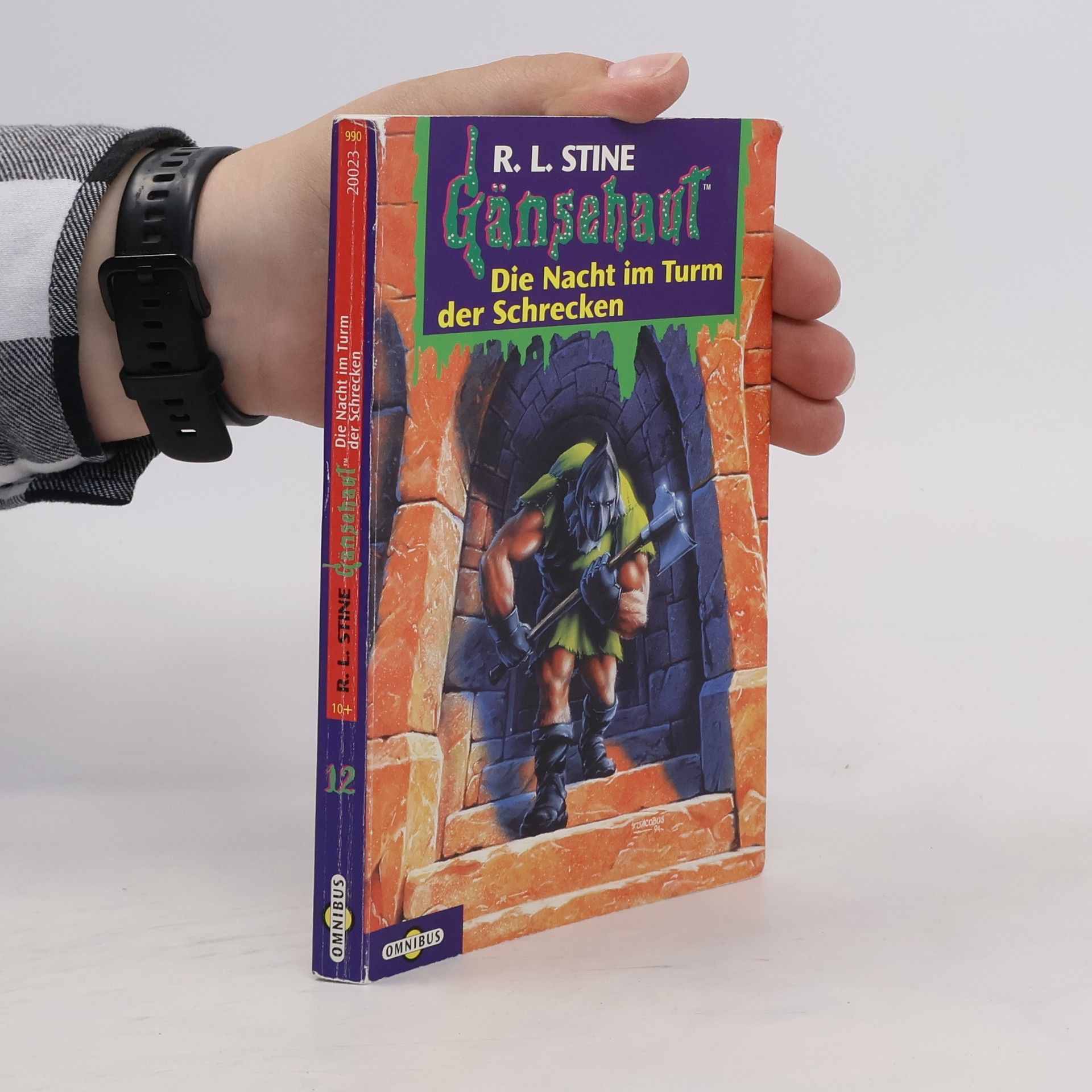 R. L. Stine Die Nacht im Turm der Schrecken. Gänsehaut Band 12